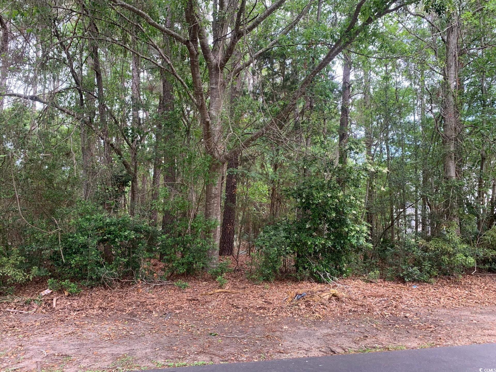 159 Sanderling Ave. 