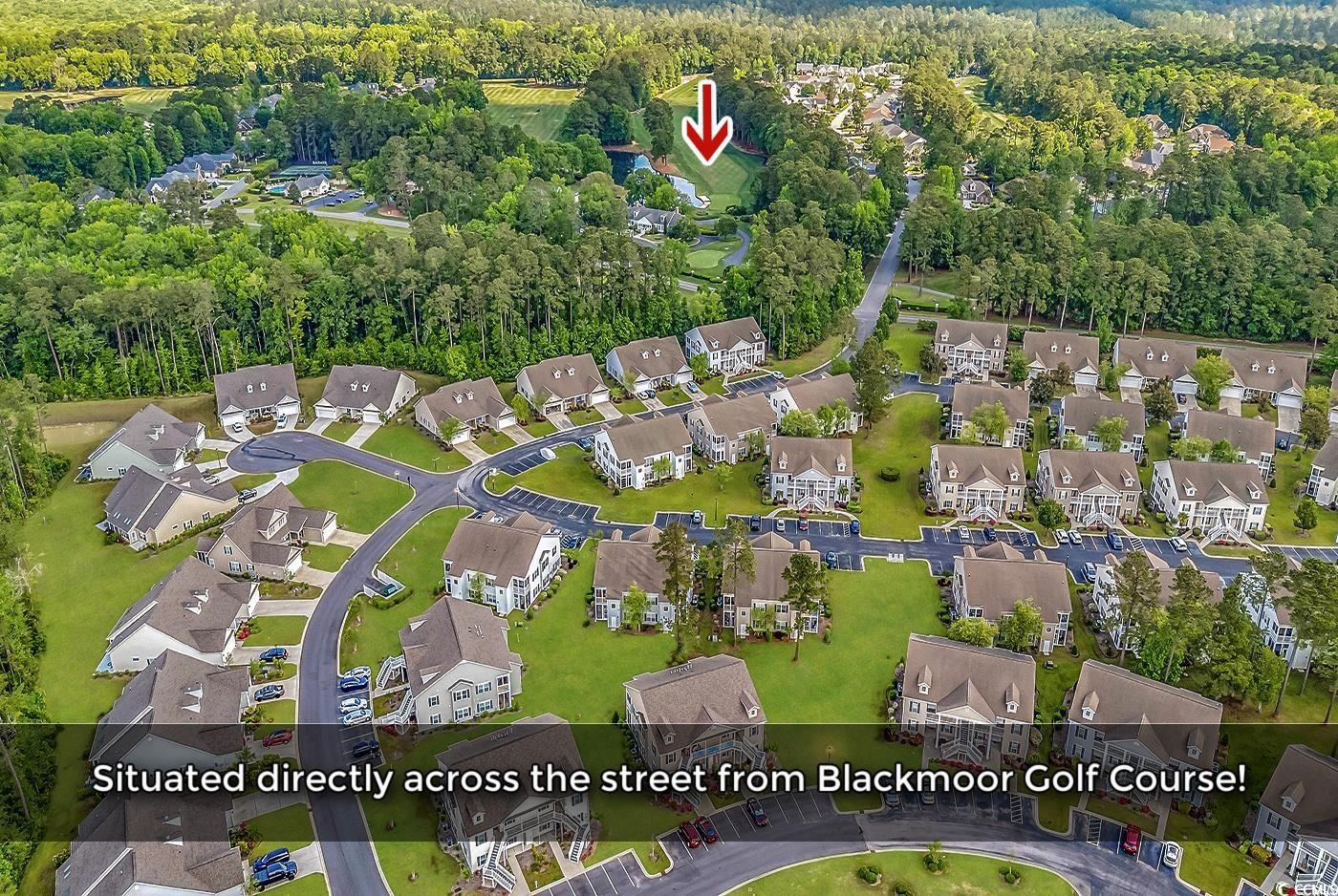 339 Black Oak Ln. #201, Murrells Inlet, South Carolina image 4