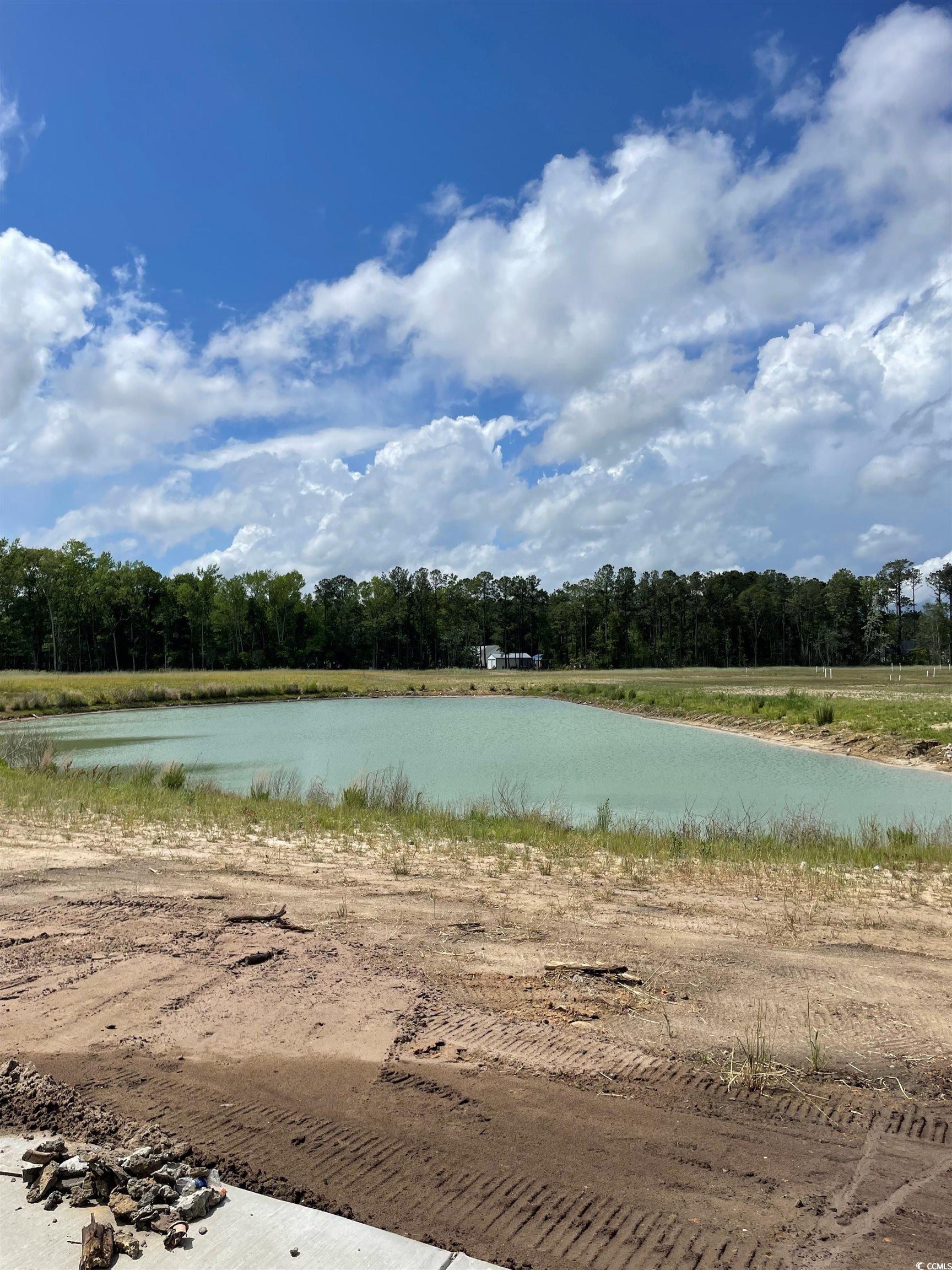 2037 Wild Indigo Circle Nw #104, Calabash, Texas image 13