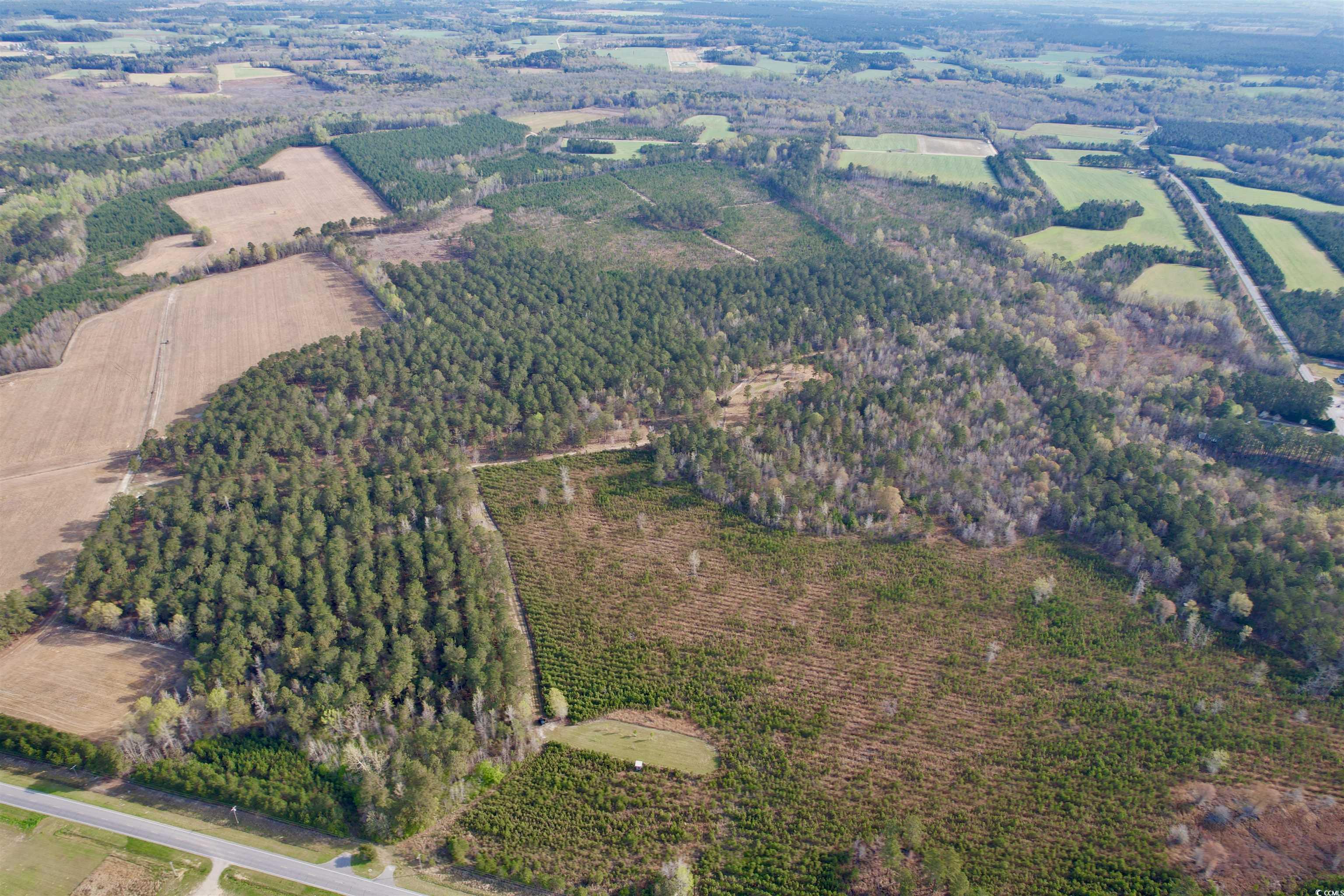 1339 Johnsonville Hwy., Lake City, South Carolina image 13