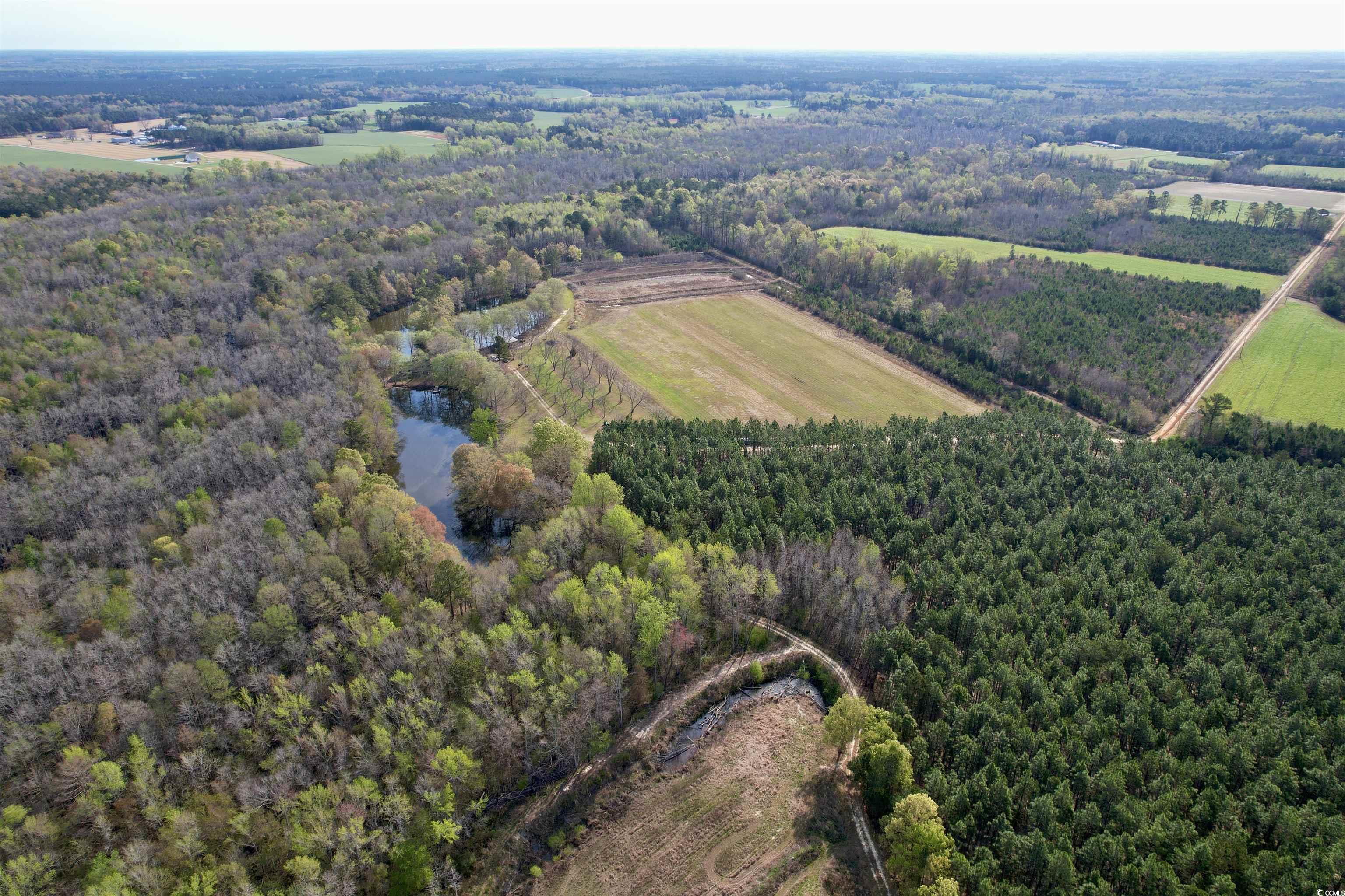 1339 Johnsonville Hwy., Lake City, South Carolina image 18