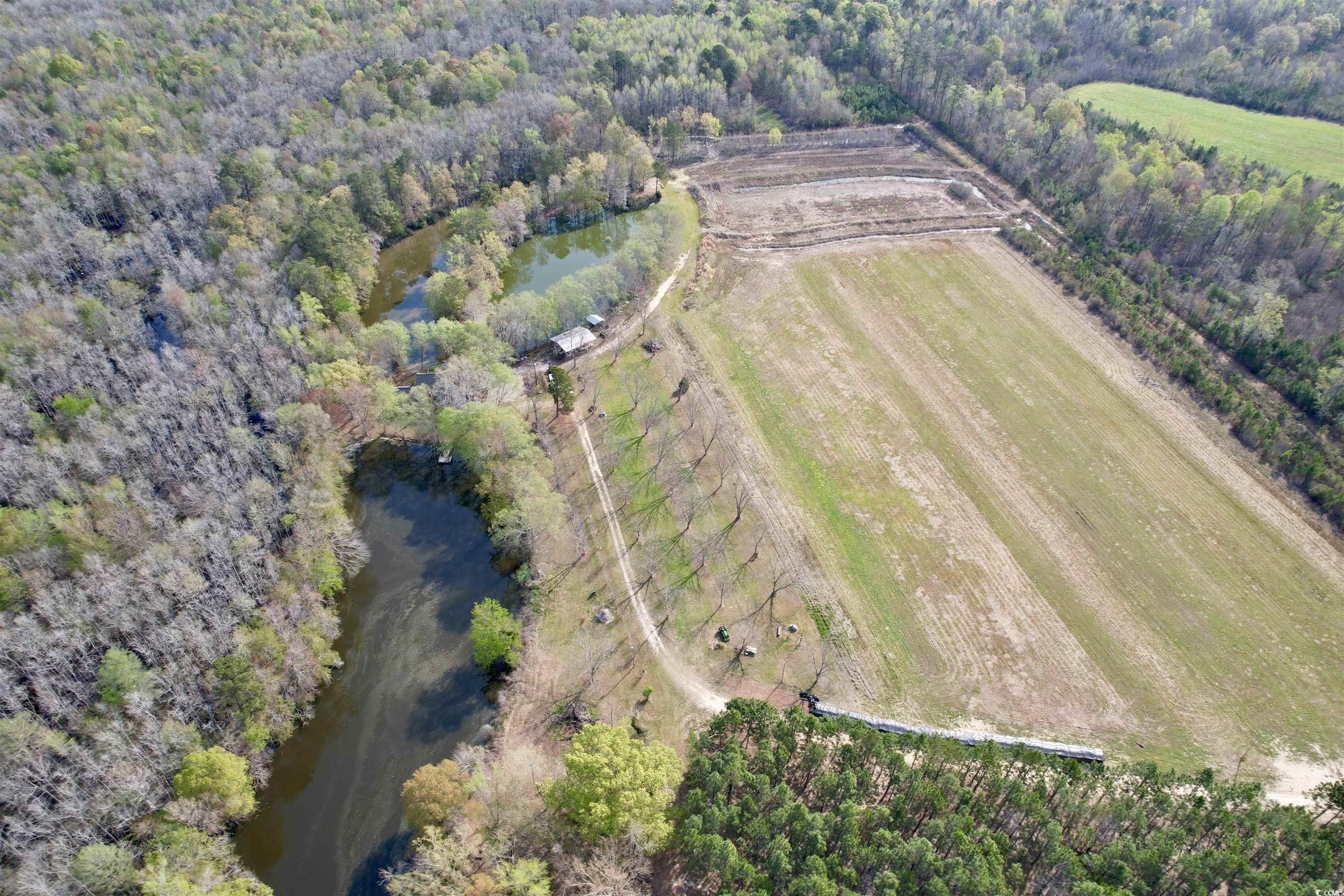 1339 Johnsonville Hwy., Lake City, South Carolina image 23