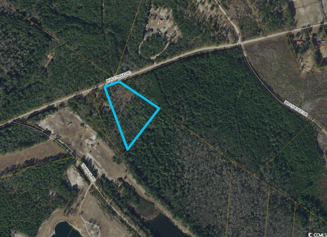 TBD Mw Stroud Rd., Nichols, South Carolina image 1
