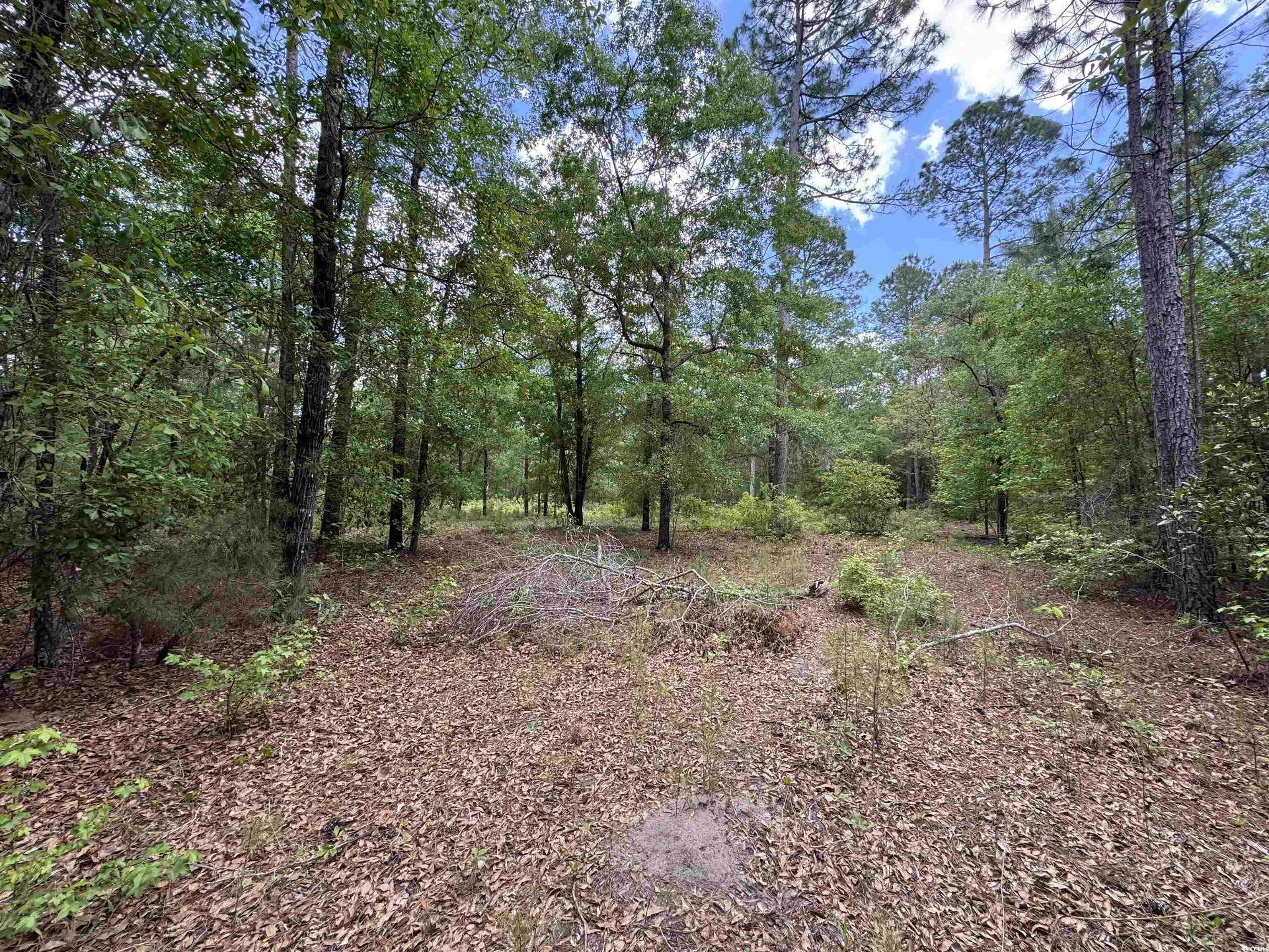 TBD Mw Stroud Rd., Nichols, South Carolina image 3