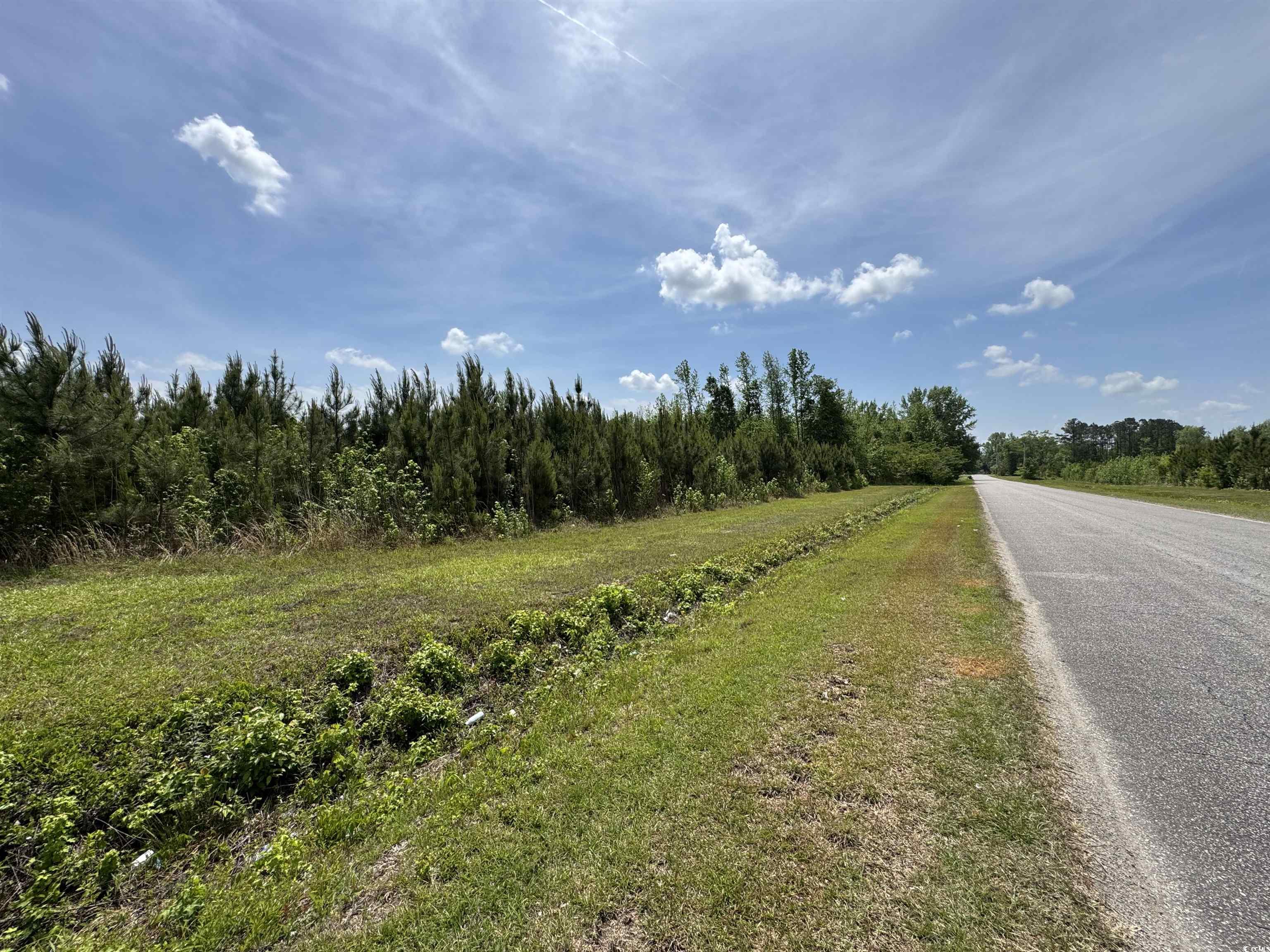 TBD Cannon Rd., Loris, South Carolina image 11