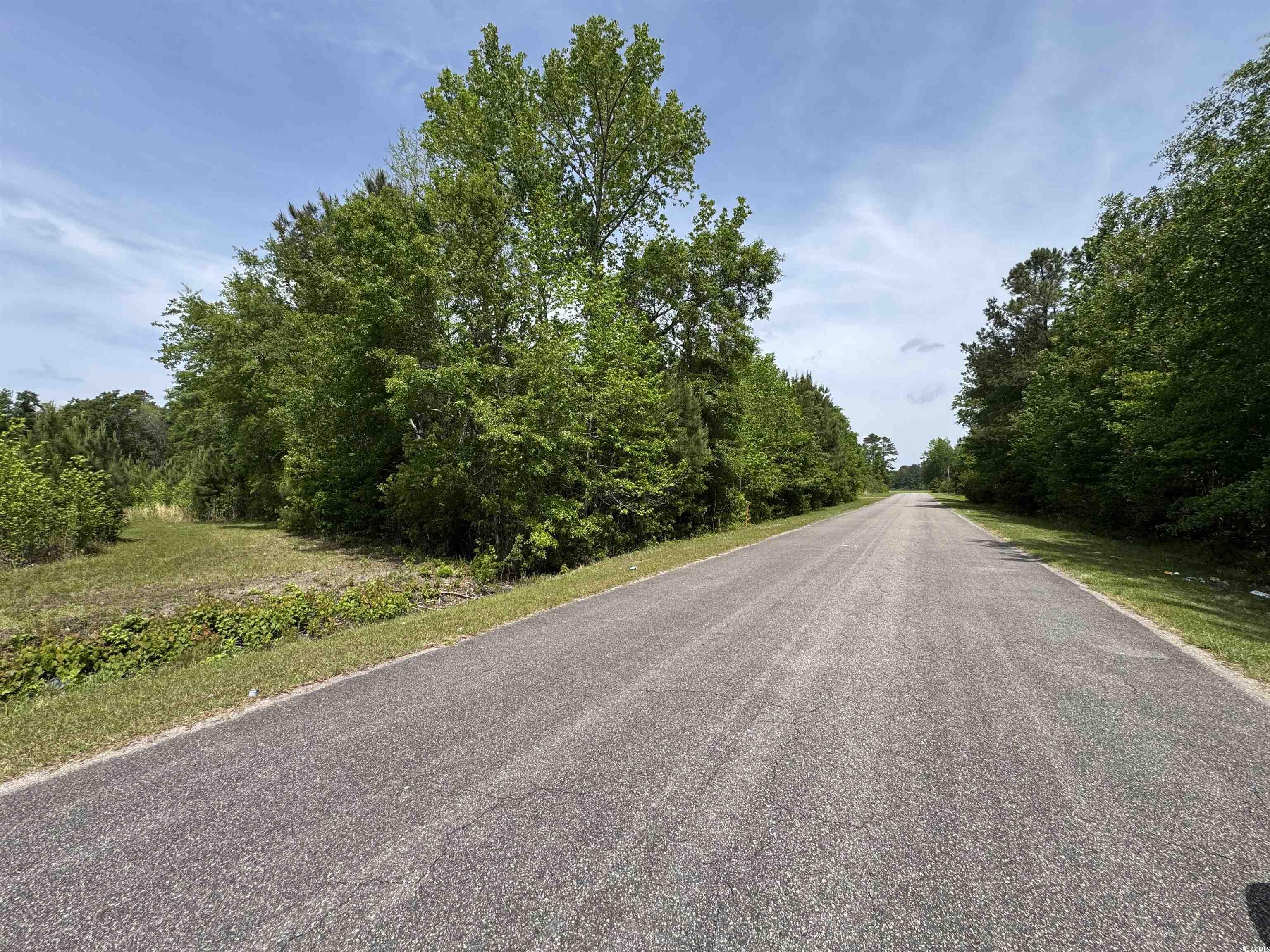TBD Cannon Rd., Loris, South Carolina image 9