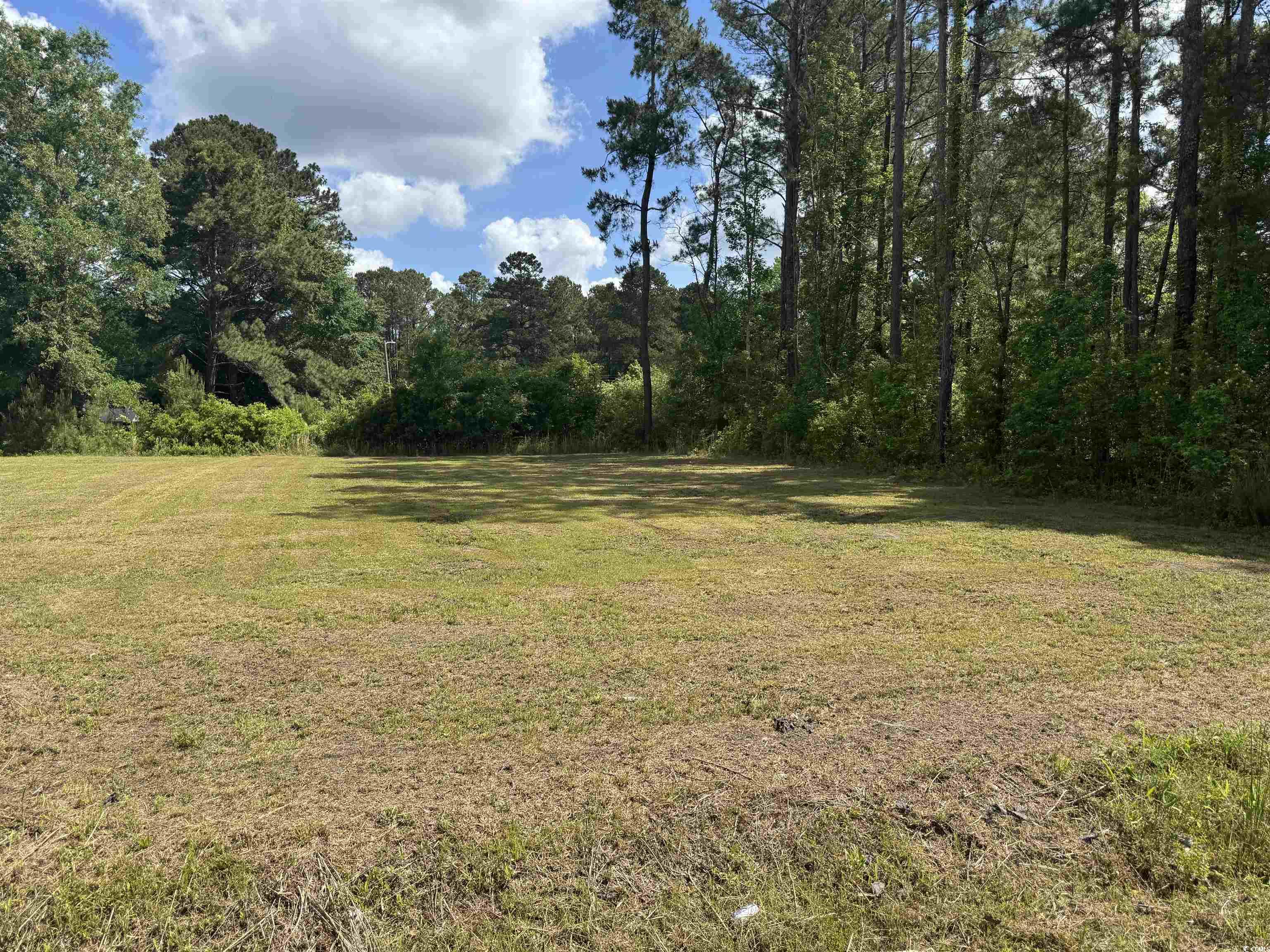 TBD James Dr. Andrews, SC 29510