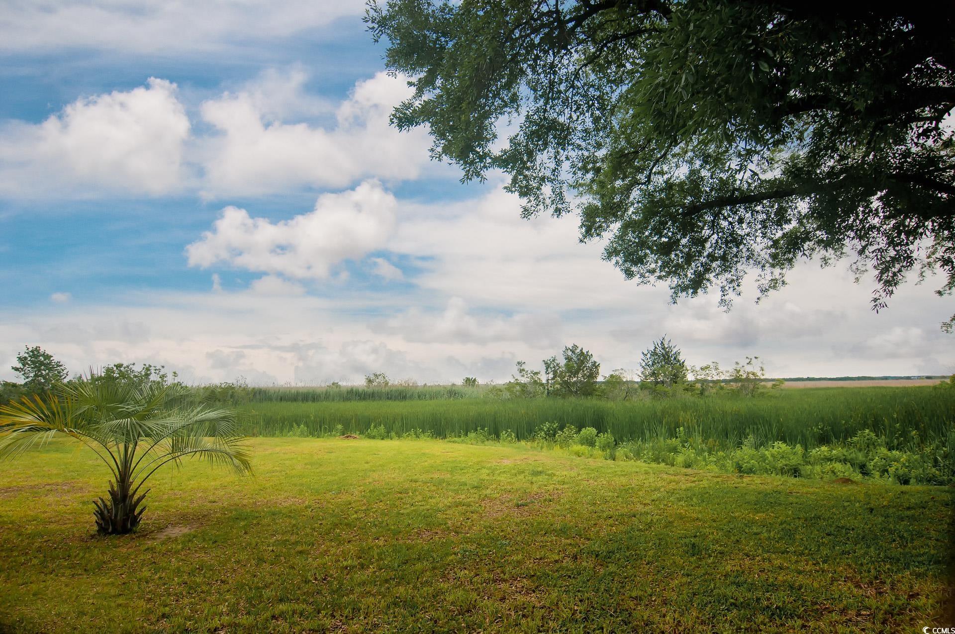 640 Willowbank Rd., Georgetown, South Carolina image 3
