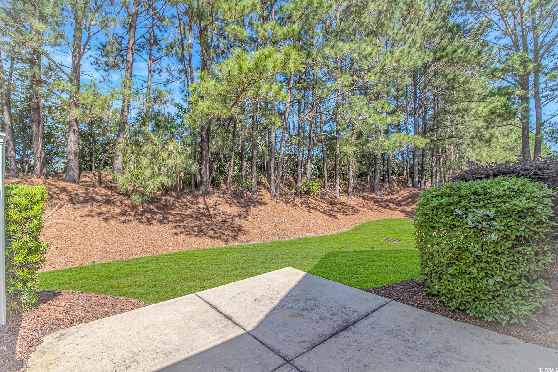 139 Chenoa Dr. #D, Murrells Inlet, South Carolina image 24