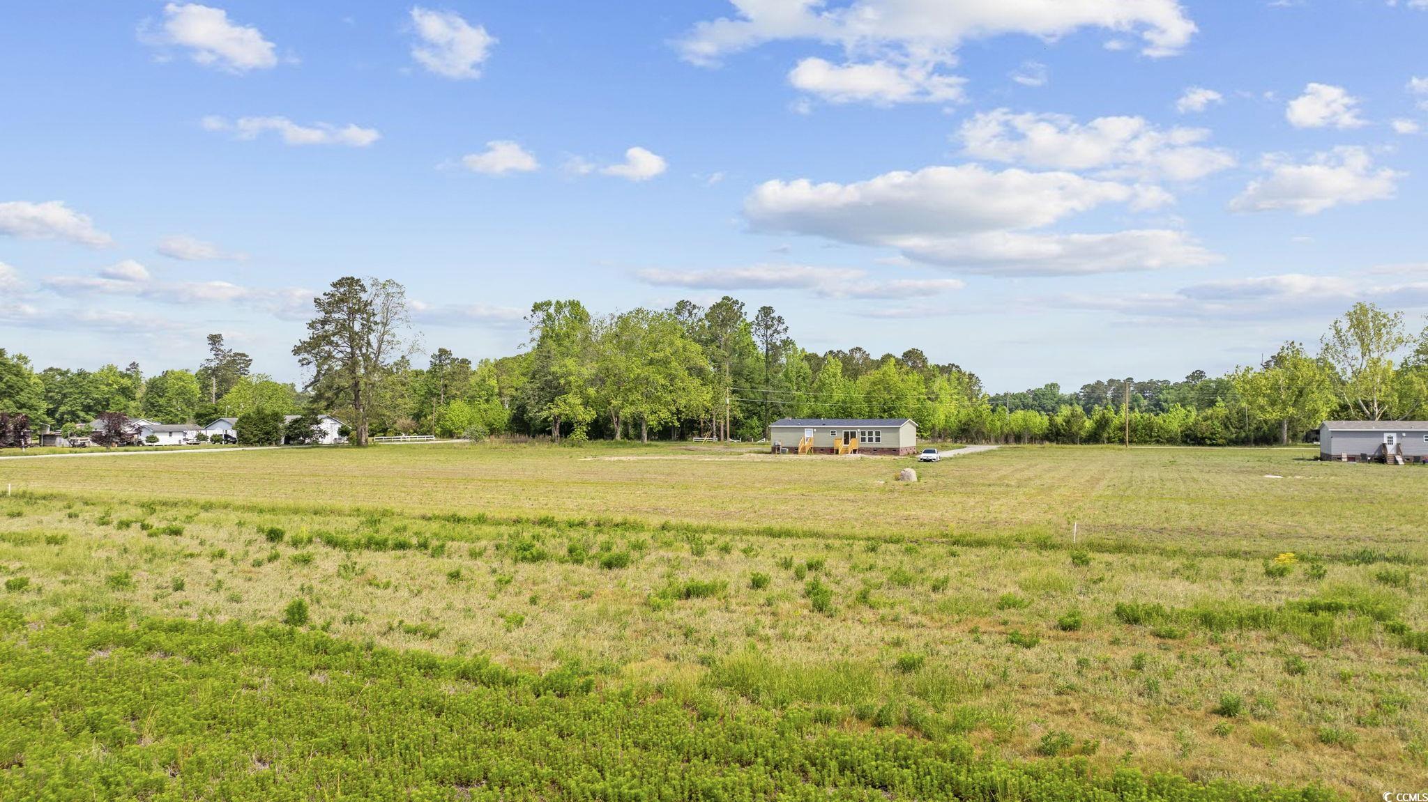 7019 Norton Rd., Green Sea, South Carolina image 30