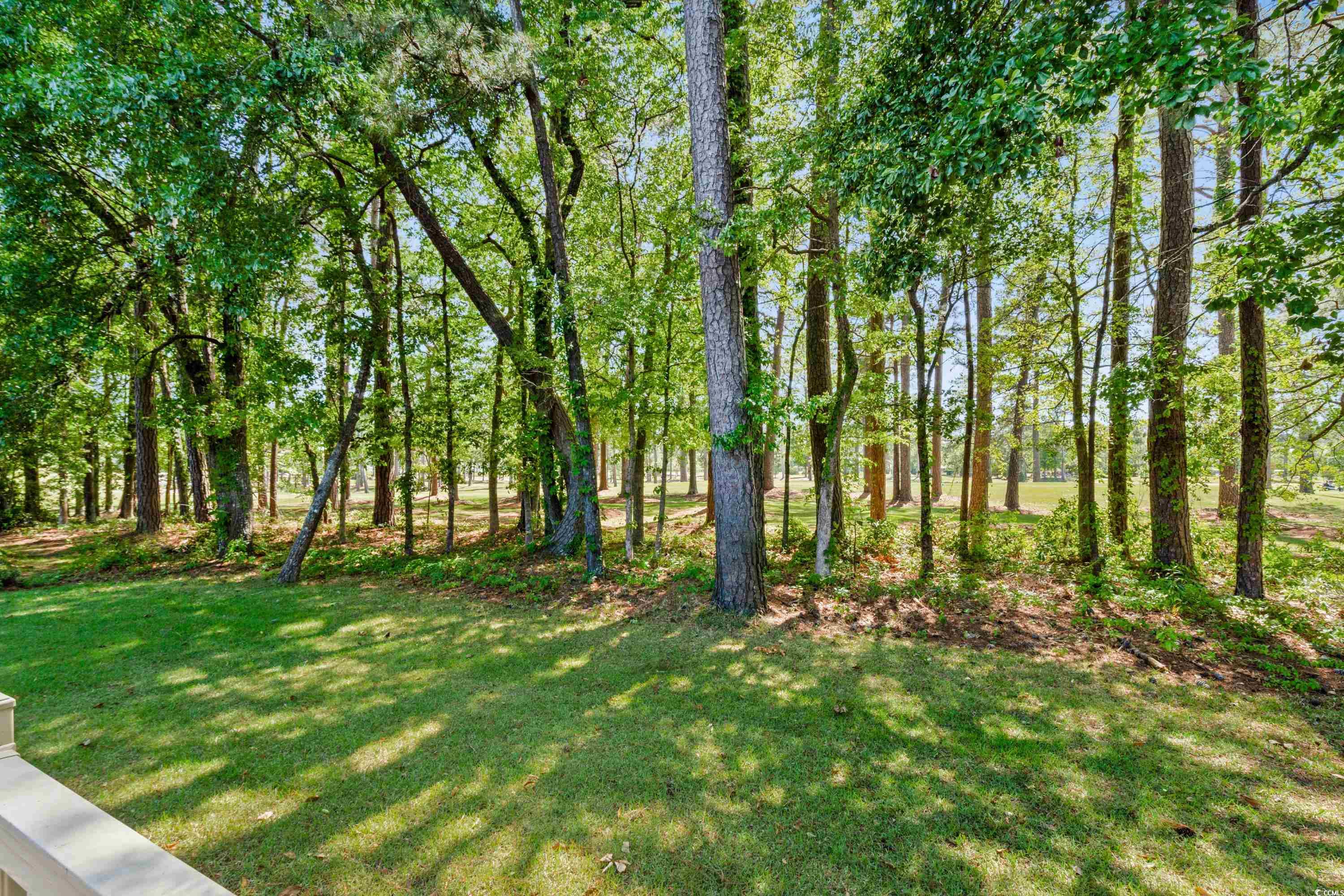 3157 Hermitage Dr., Little River, South Carolina image 27