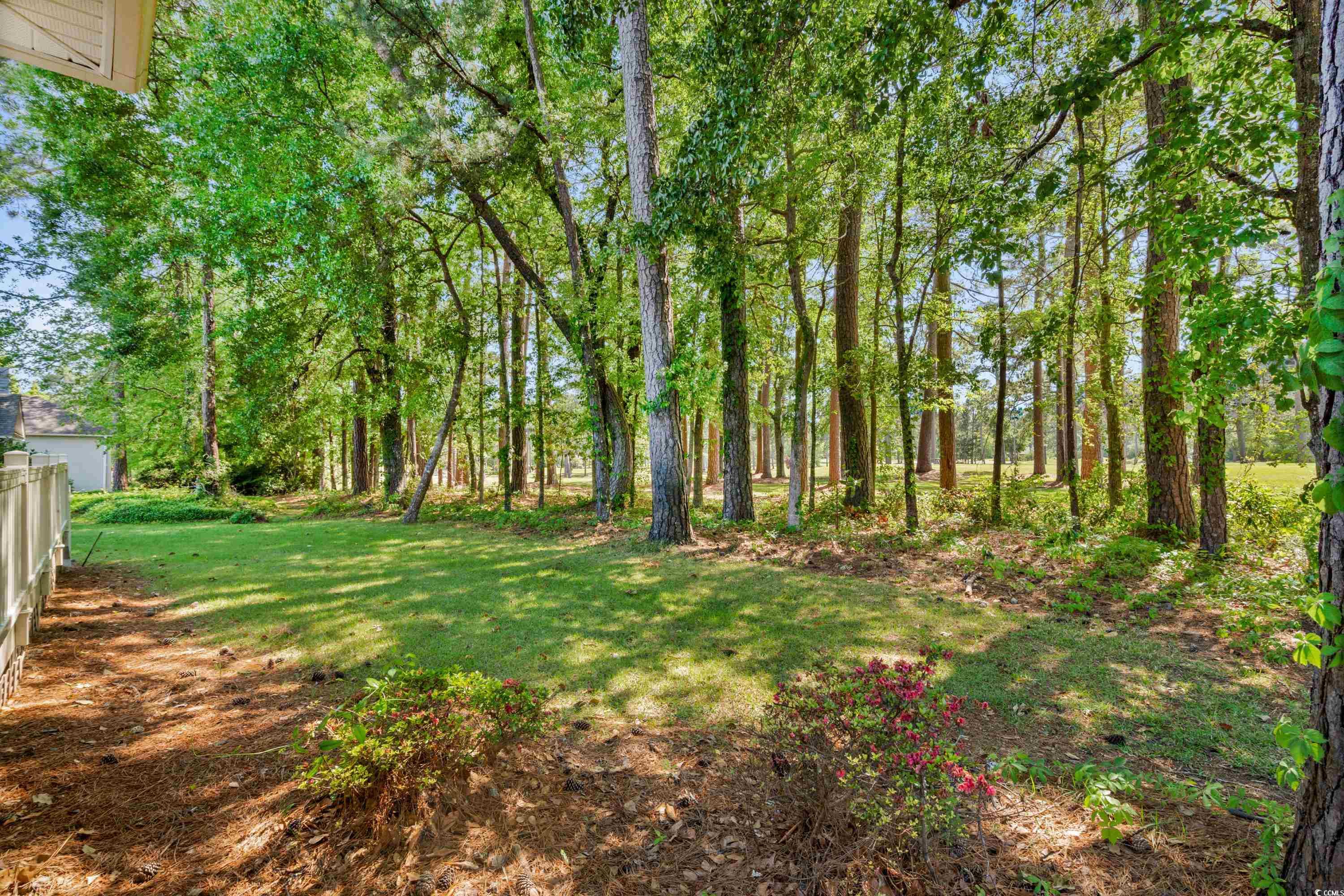 3157 Hermitage Dr., Little River, South Carolina image 31