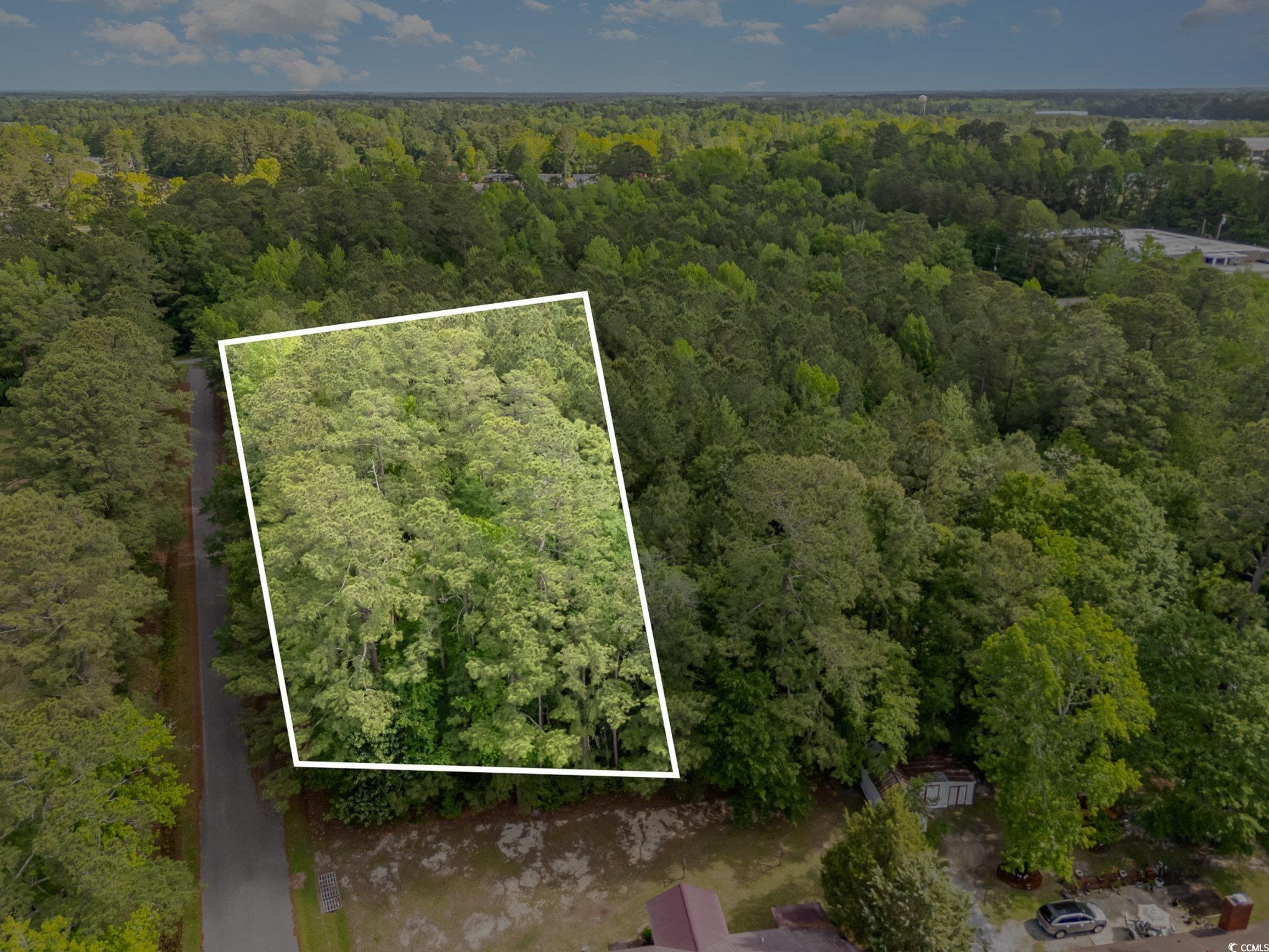 TBD Paul St. Loris, SC 29569