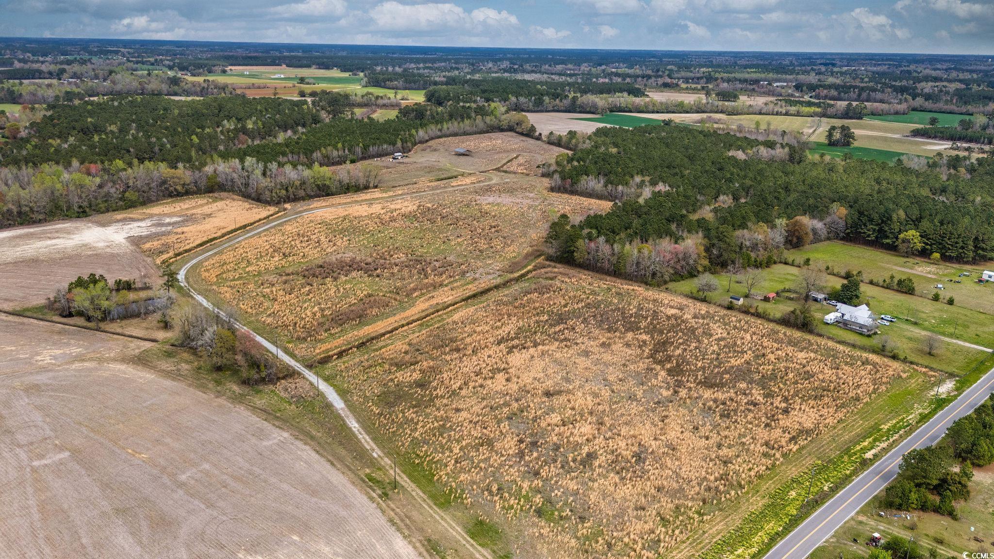 TBD Powell Rd. Green Sea, SC 29545
