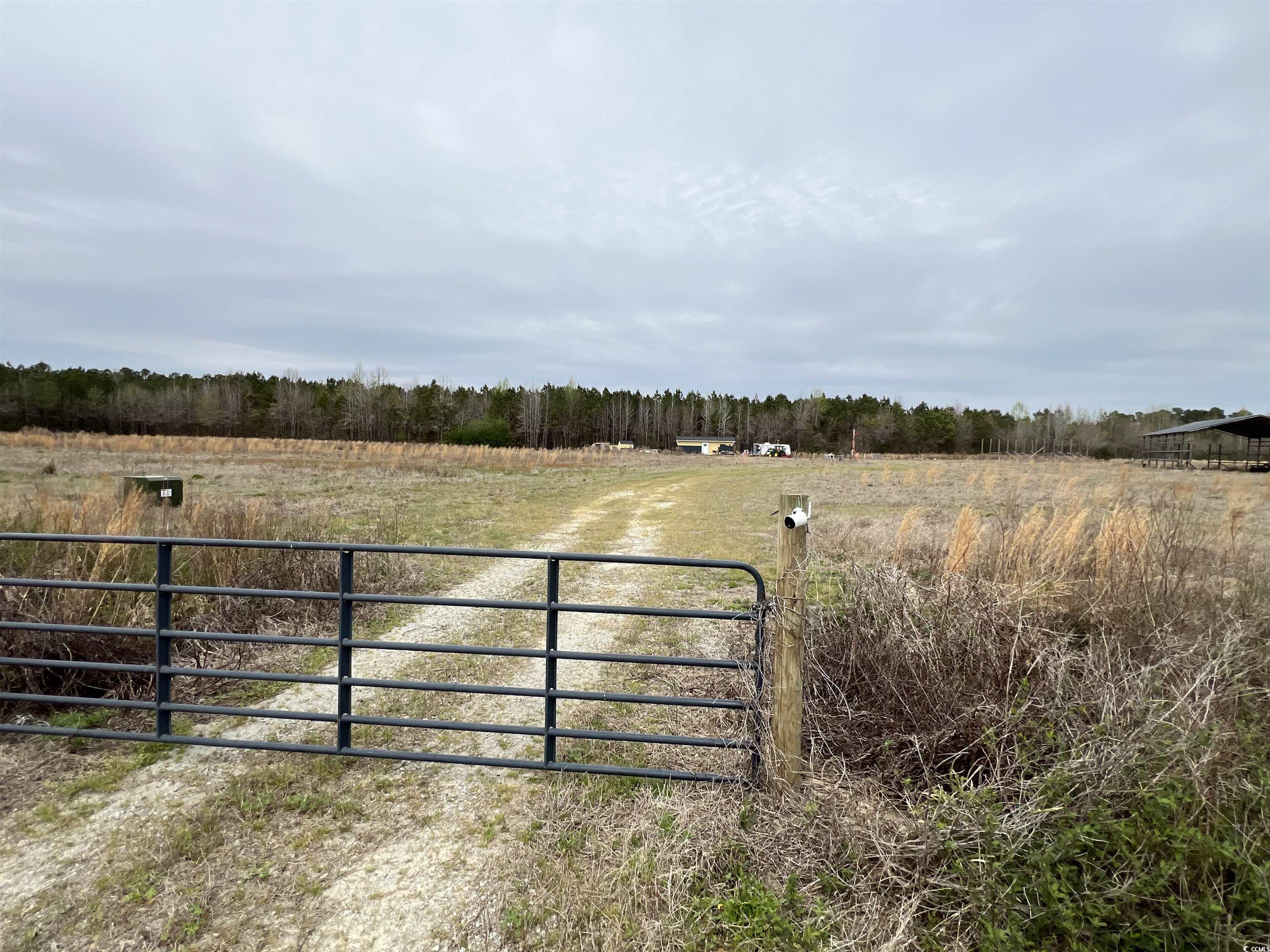 TBD Powell Rd., Green Sea, South Carolina image 4