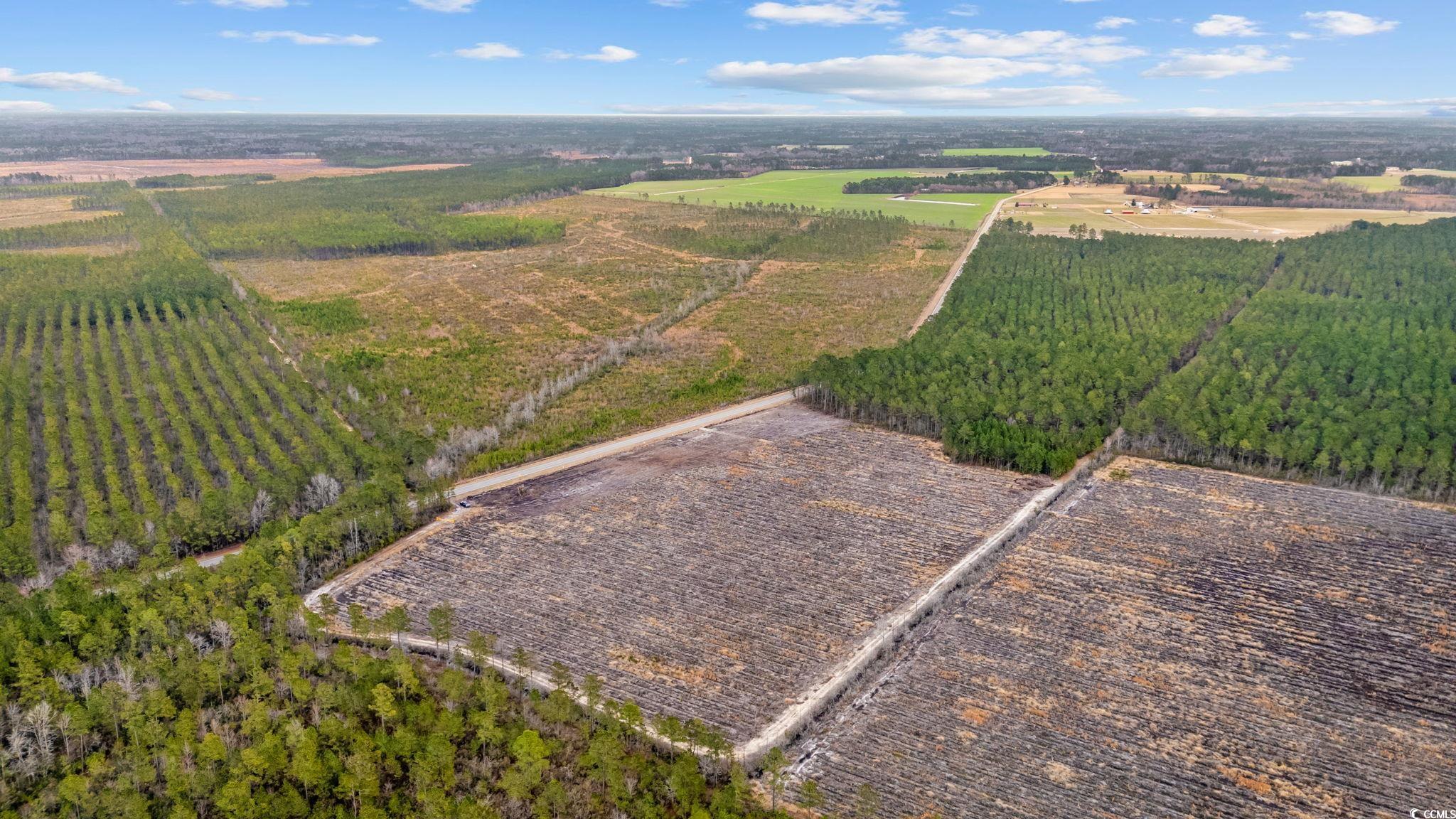 TBD Joyner Swamp Rd., Galivants Ferry, South Carolina image 8
