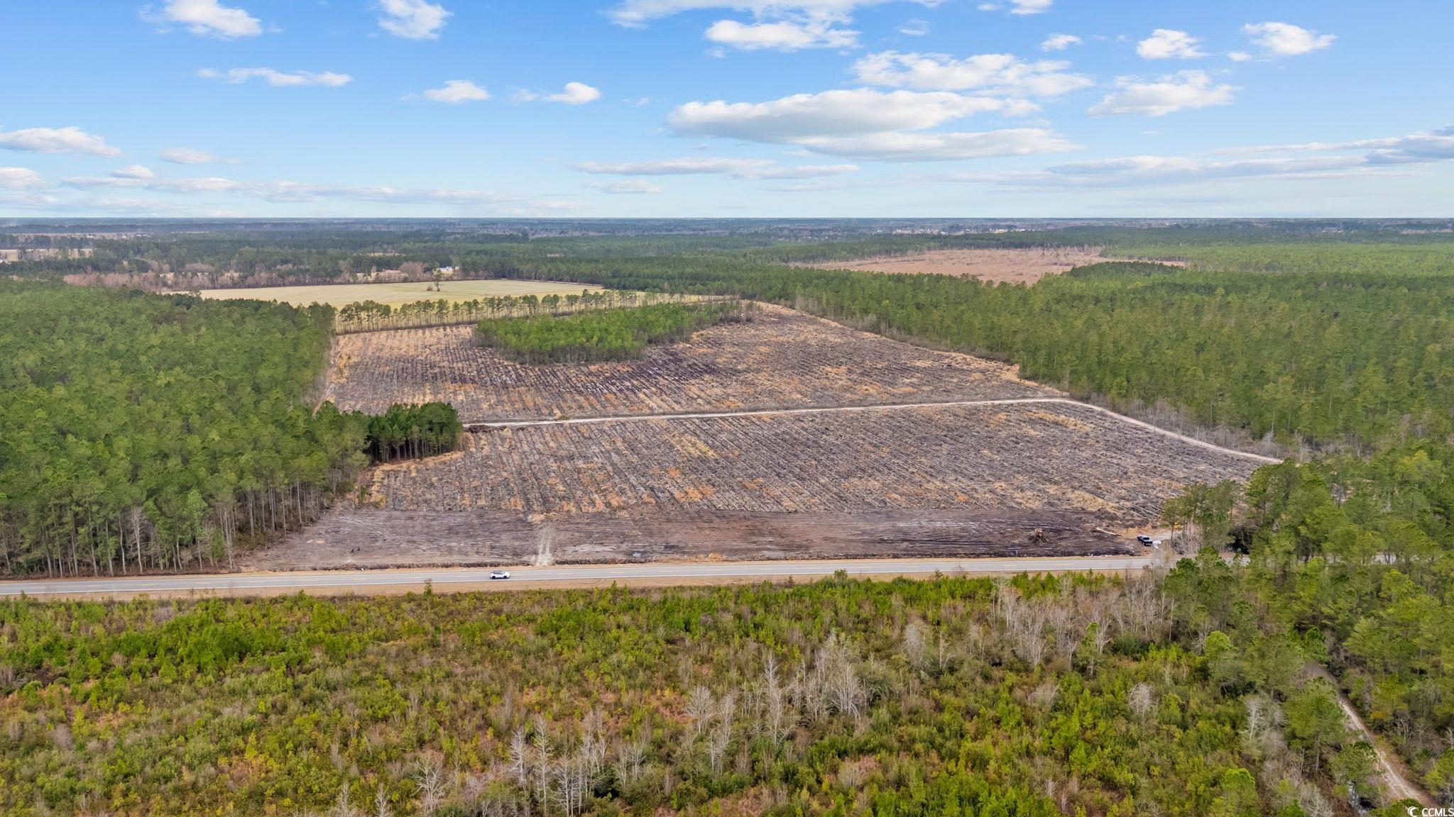 TBD Joyner Swamp Rd., Galivants Ferry, South Carolina image 12