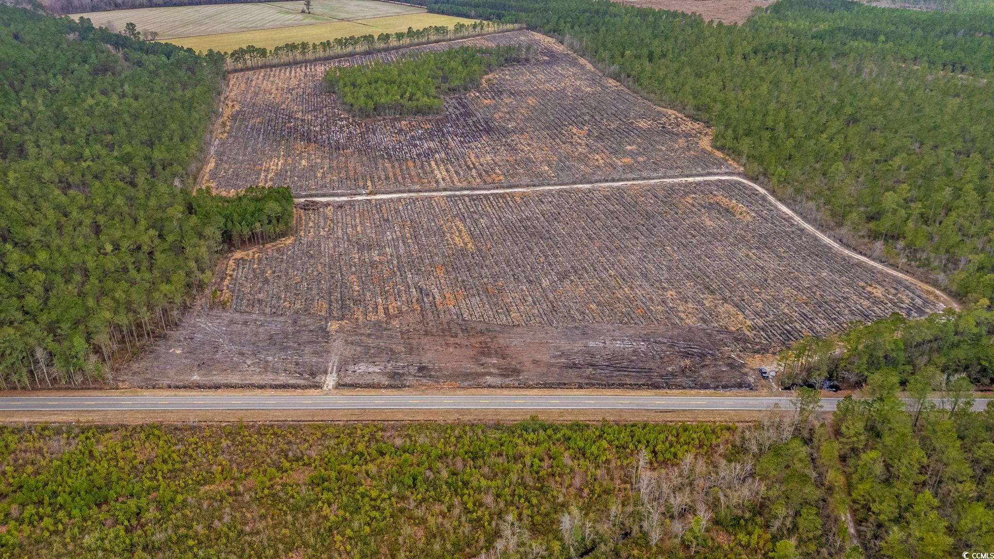 TBD Joyner Swamp Rd., Galivants Ferry, South Carolina image 6