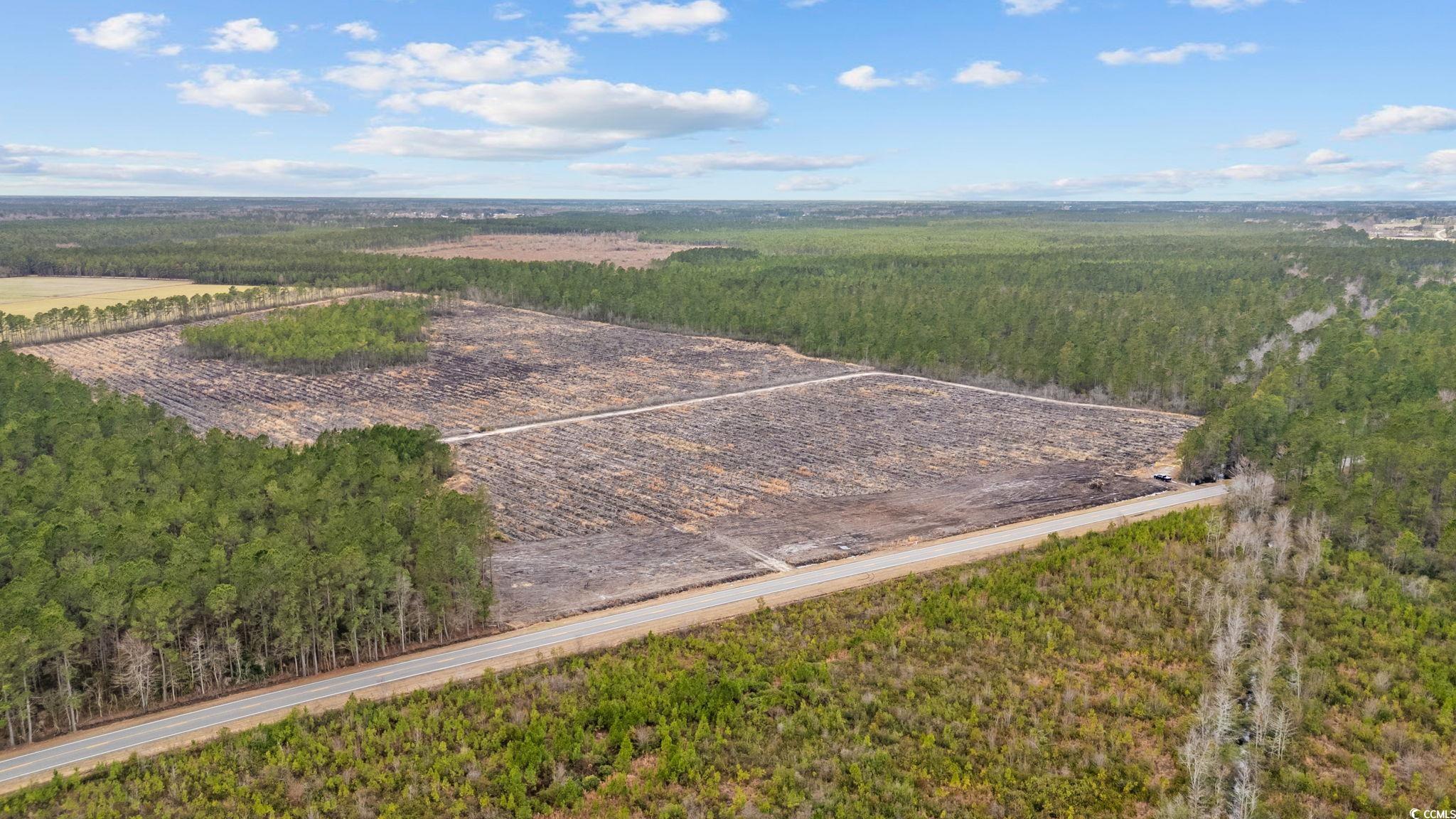 TBD Joyner Swamp Rd., Galivants Ferry, South Carolina image 11