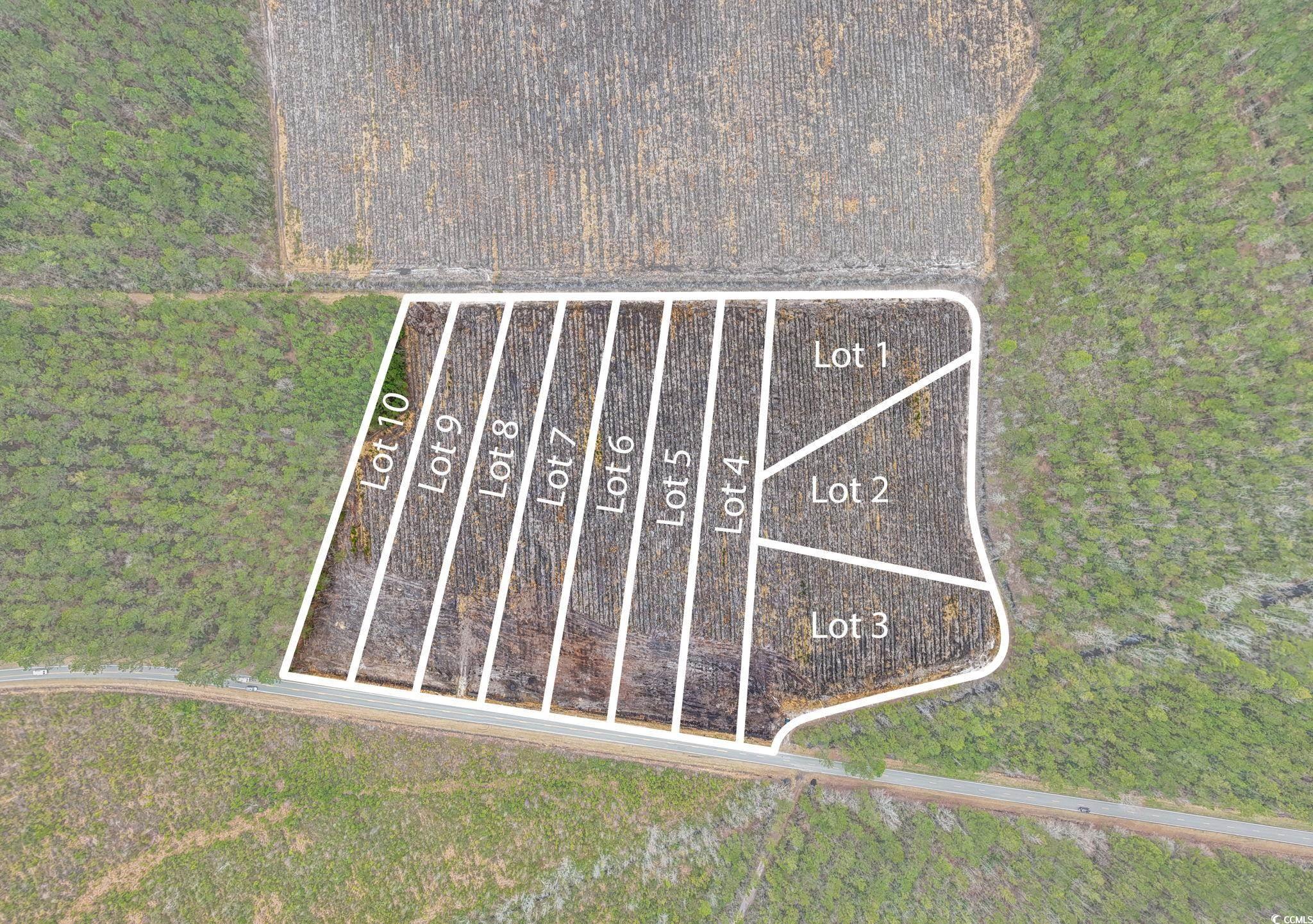 TBD Joyner Swamp Rd., Galivants Ferry, South Carolina image 17