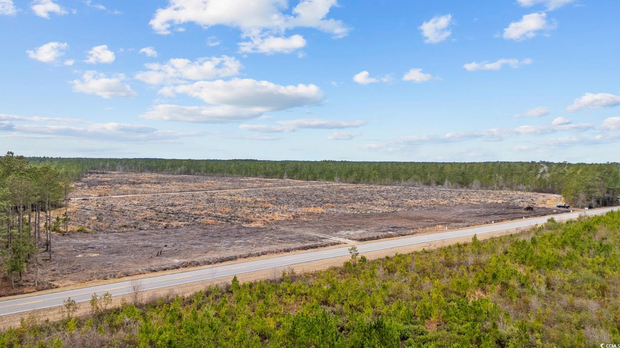 TBD Joyner Swamp Rd., Galivants Ferry, South Carolina image 14