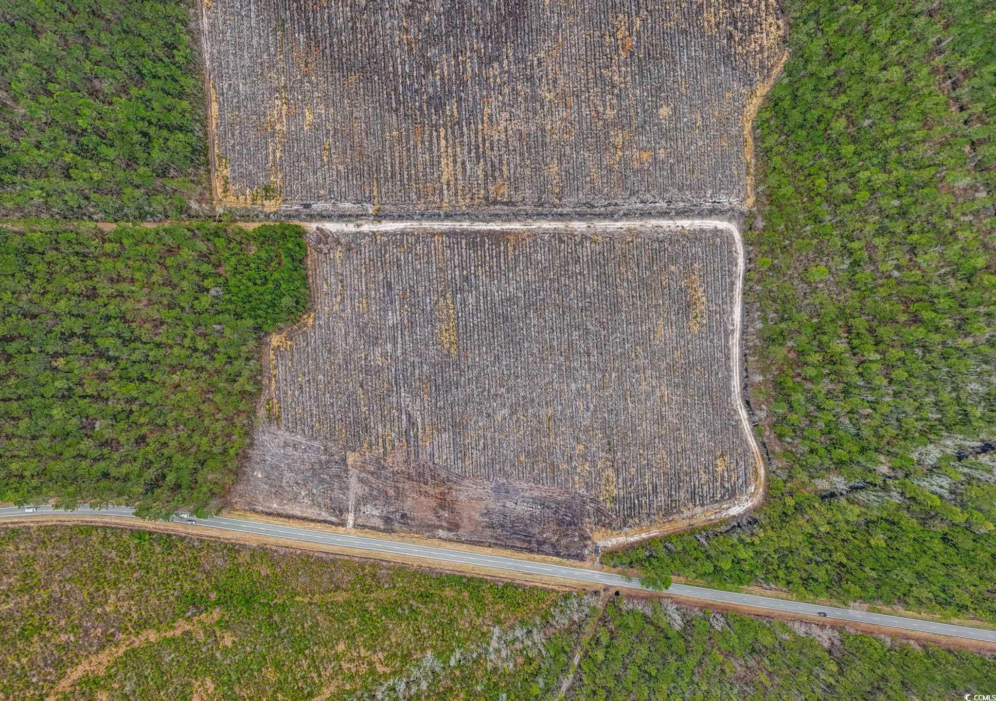 TBD Joyner Swamp Rd., Galivants Ferry, South Carolina image 15