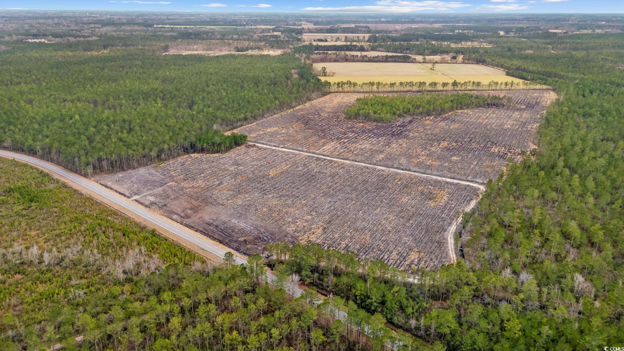 TBD Joyner Swamp Rd., Galivants Ferry, South Carolina image 7