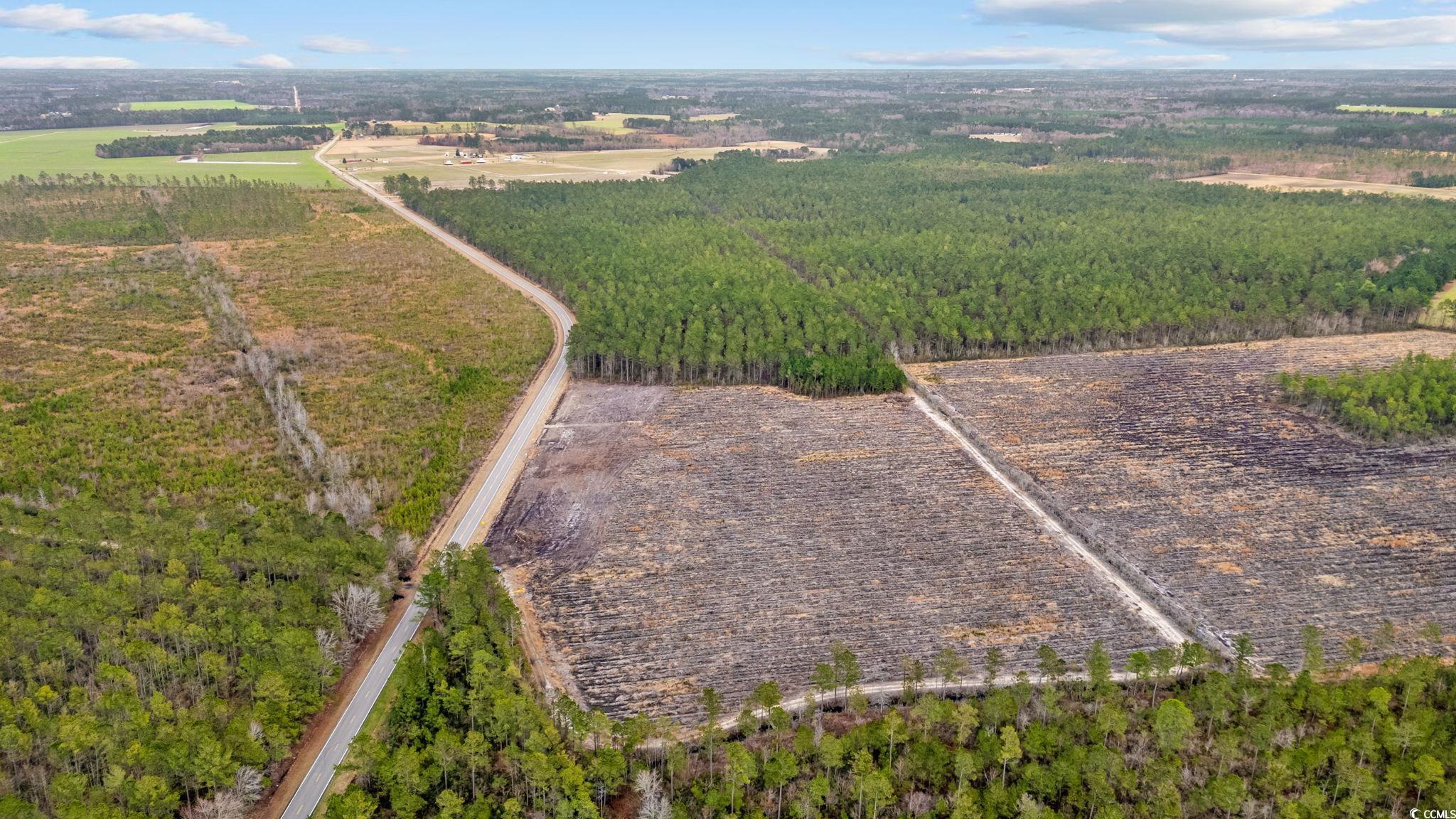 TBD Joyner Swamp Rd., Galivants Ferry, South Carolina image 10