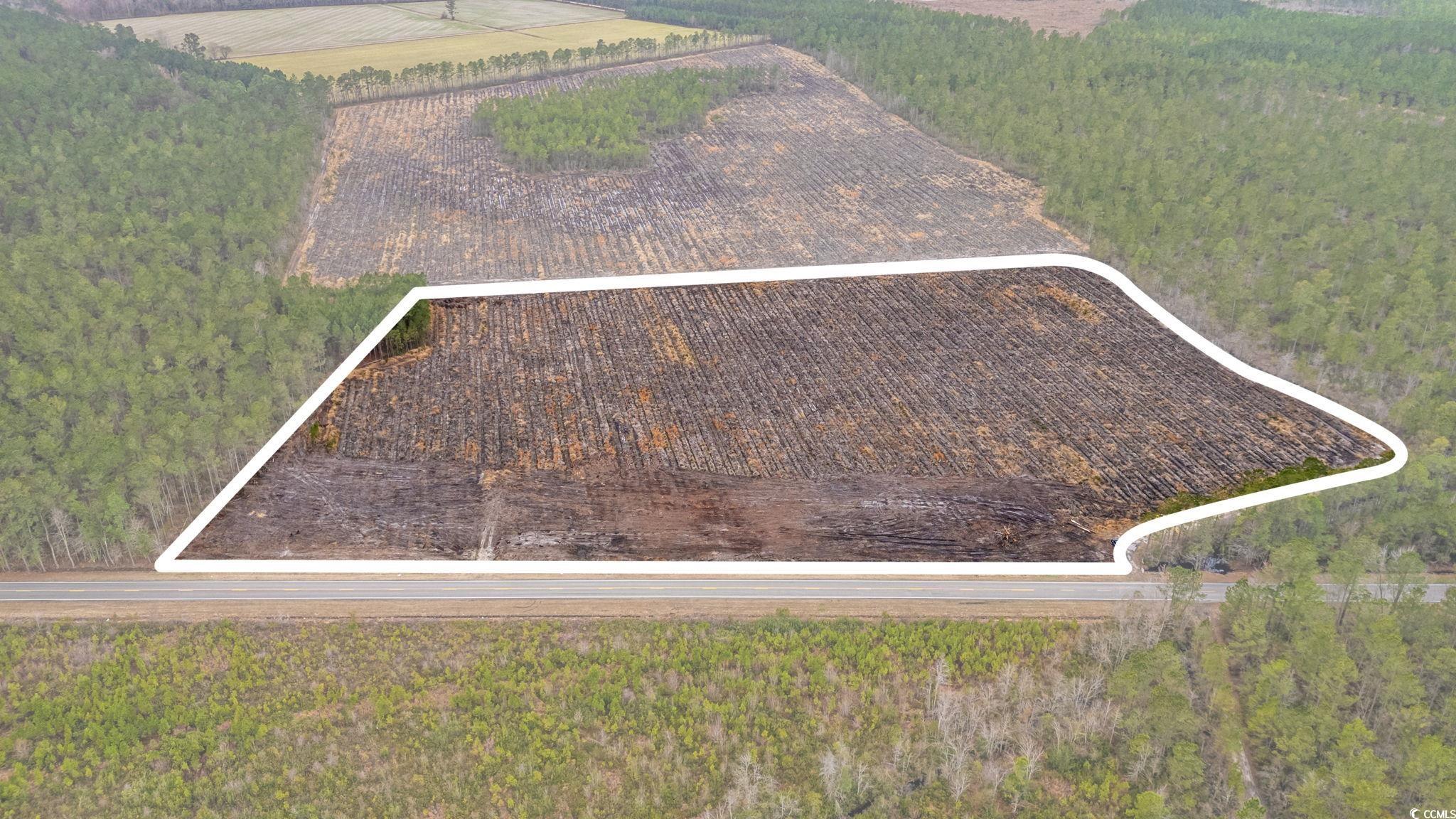 TBD Joyner Swamp Rd., Galivants Ferry, South Carolina image 19