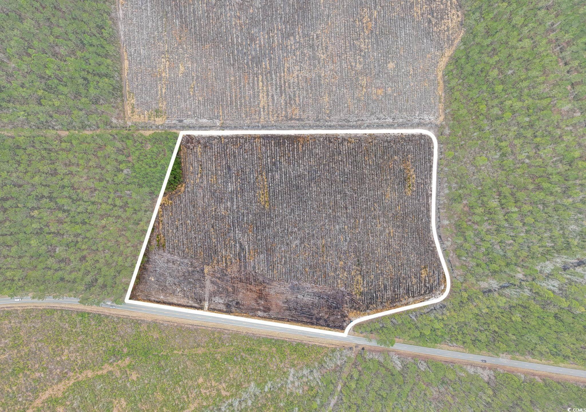 TBD Joyner Swamp Rd., Galivants Ferry, South Carolina image 16