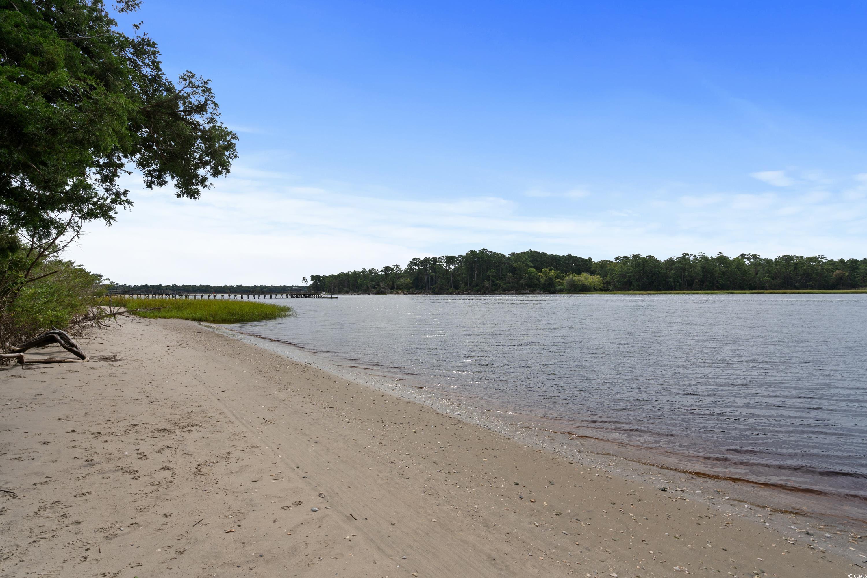 2128 Adams Circle, Little River, South Carolina image 35