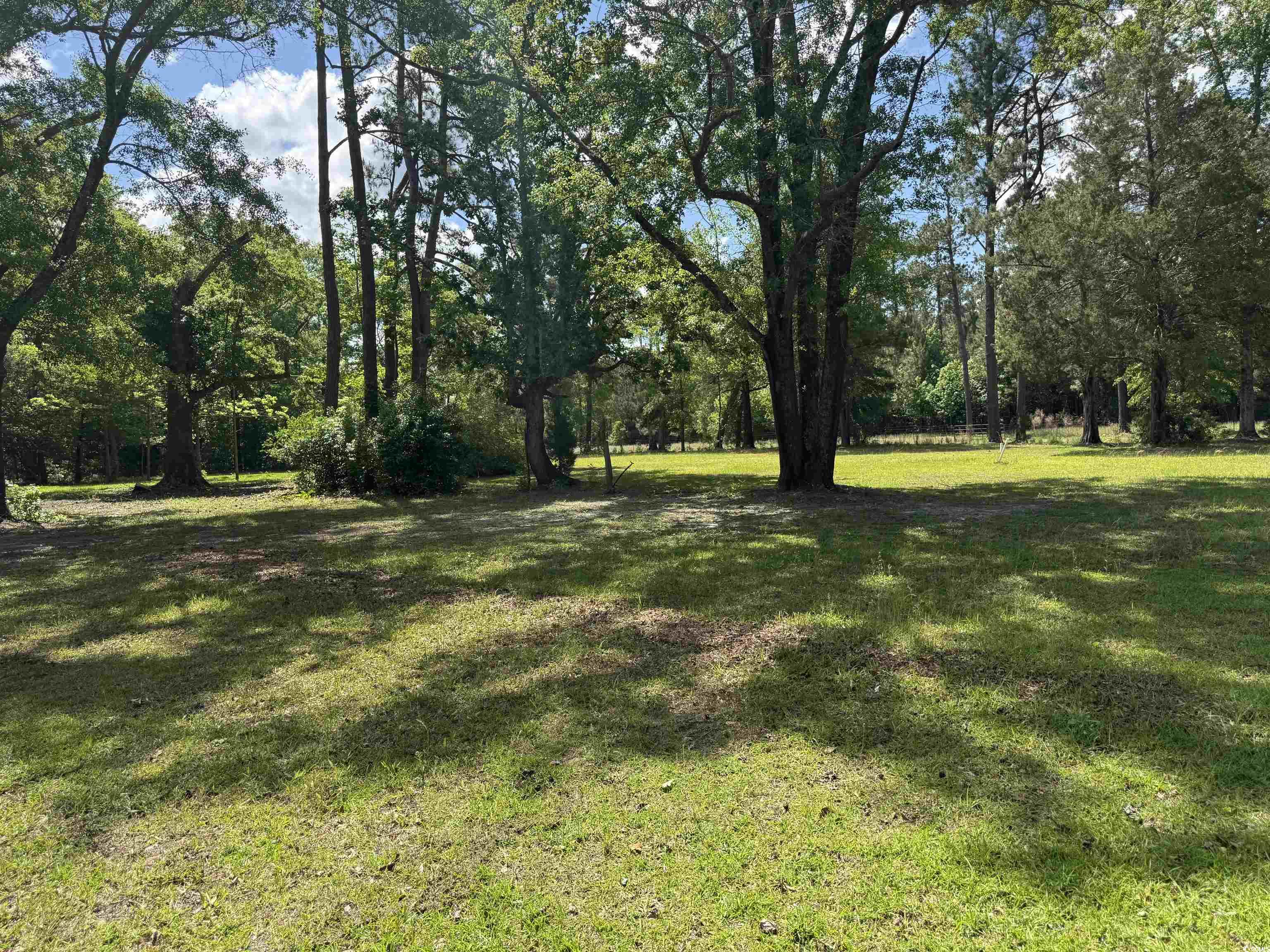 1064 Wee Tee Rd., Andrews, South Carolina image 10