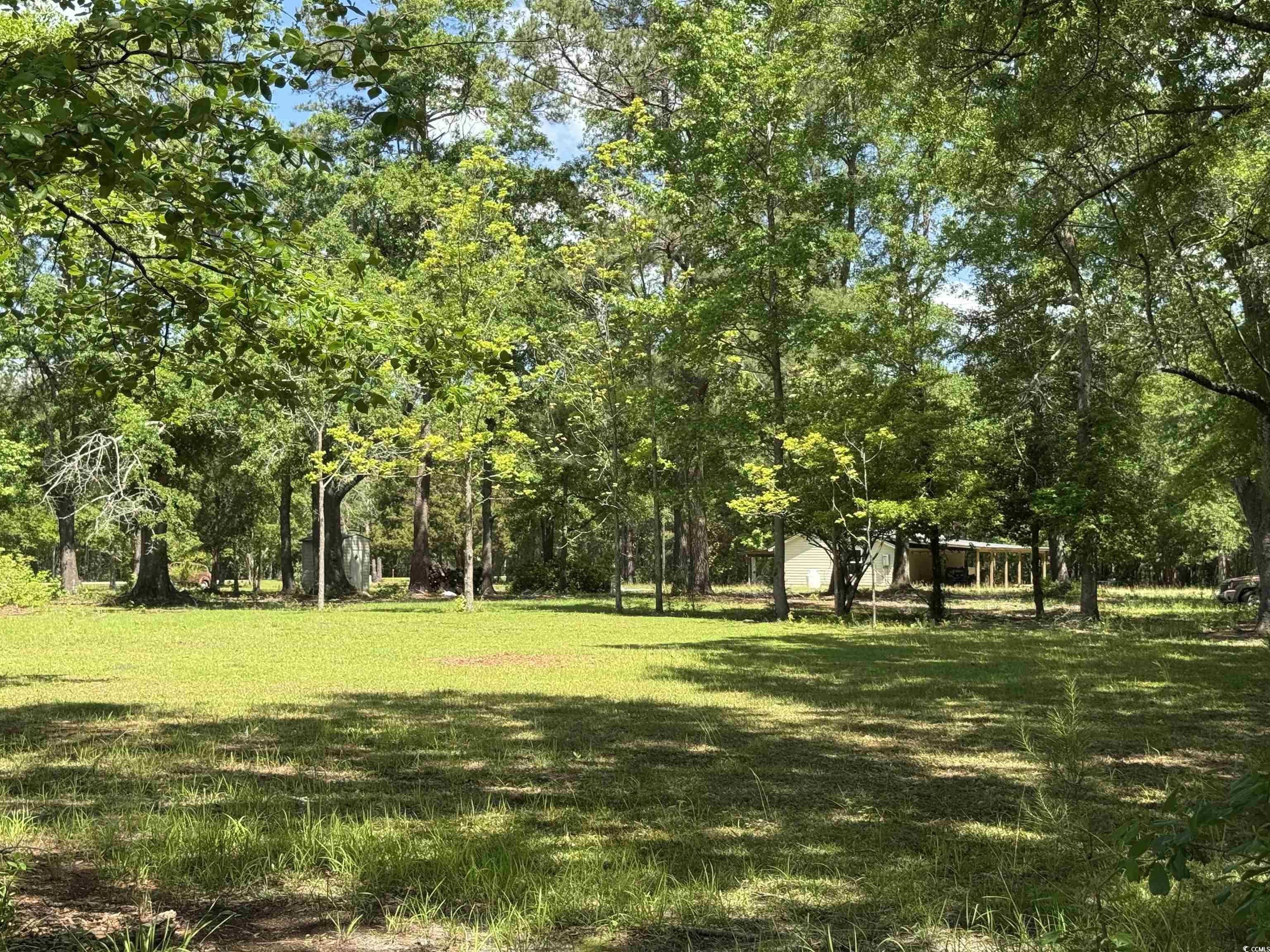 1064 Wee Tee Rd., Andrews, South Carolina image 2