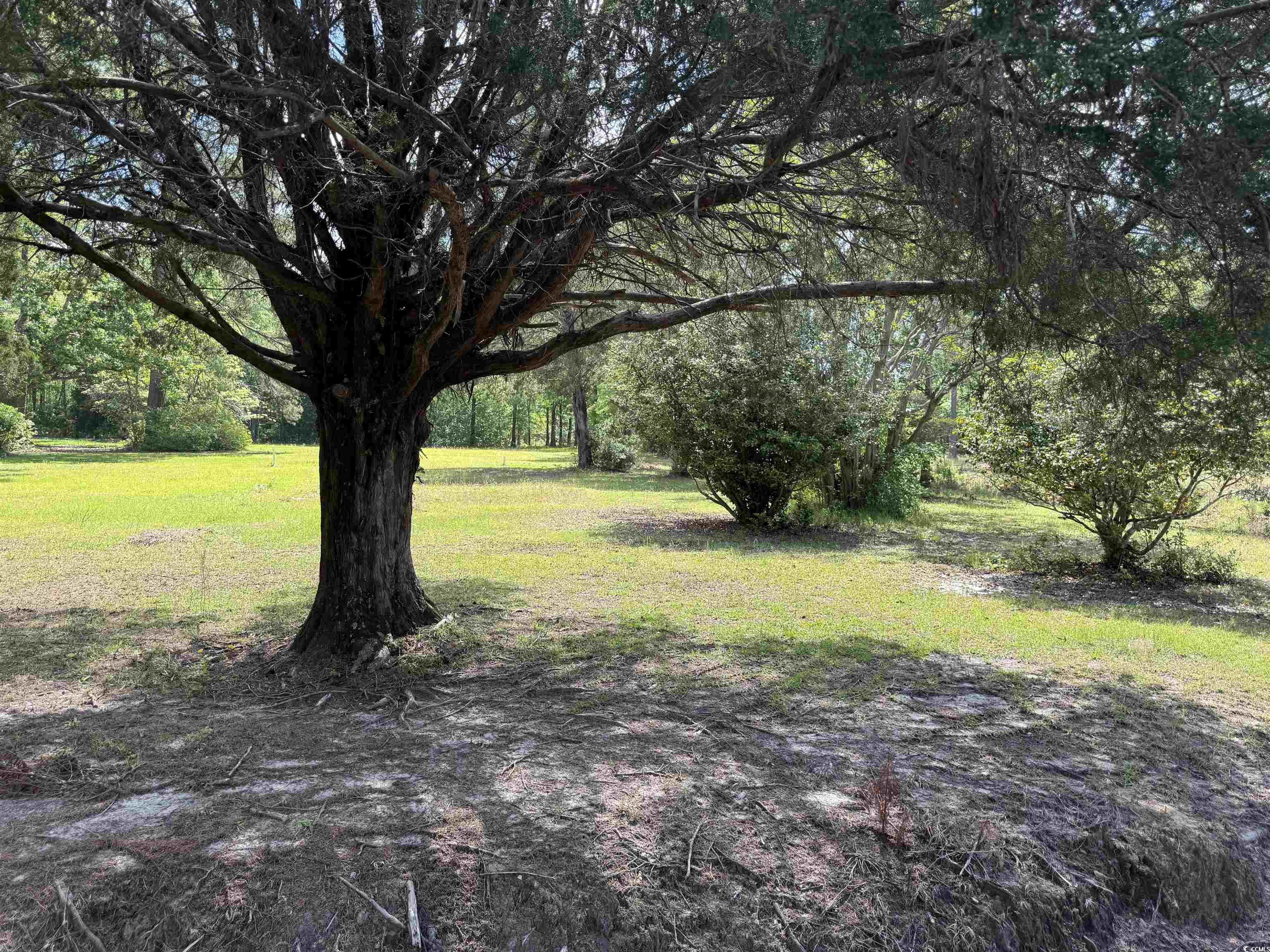 1064 Wee Tee Rd., Andrews, South Carolina image 9