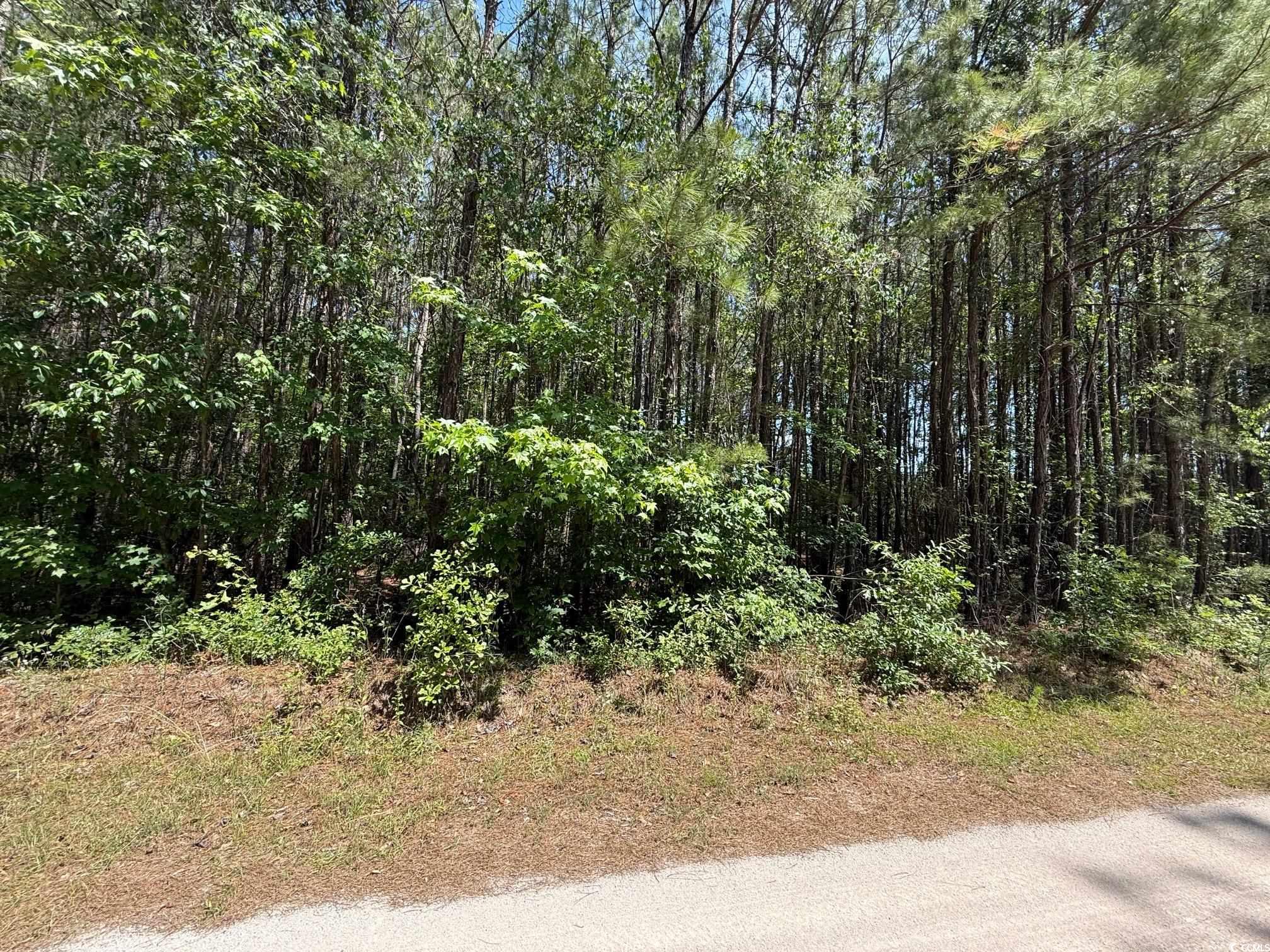 TBD J Floyd Ln, Aynor, South Carolina image 1