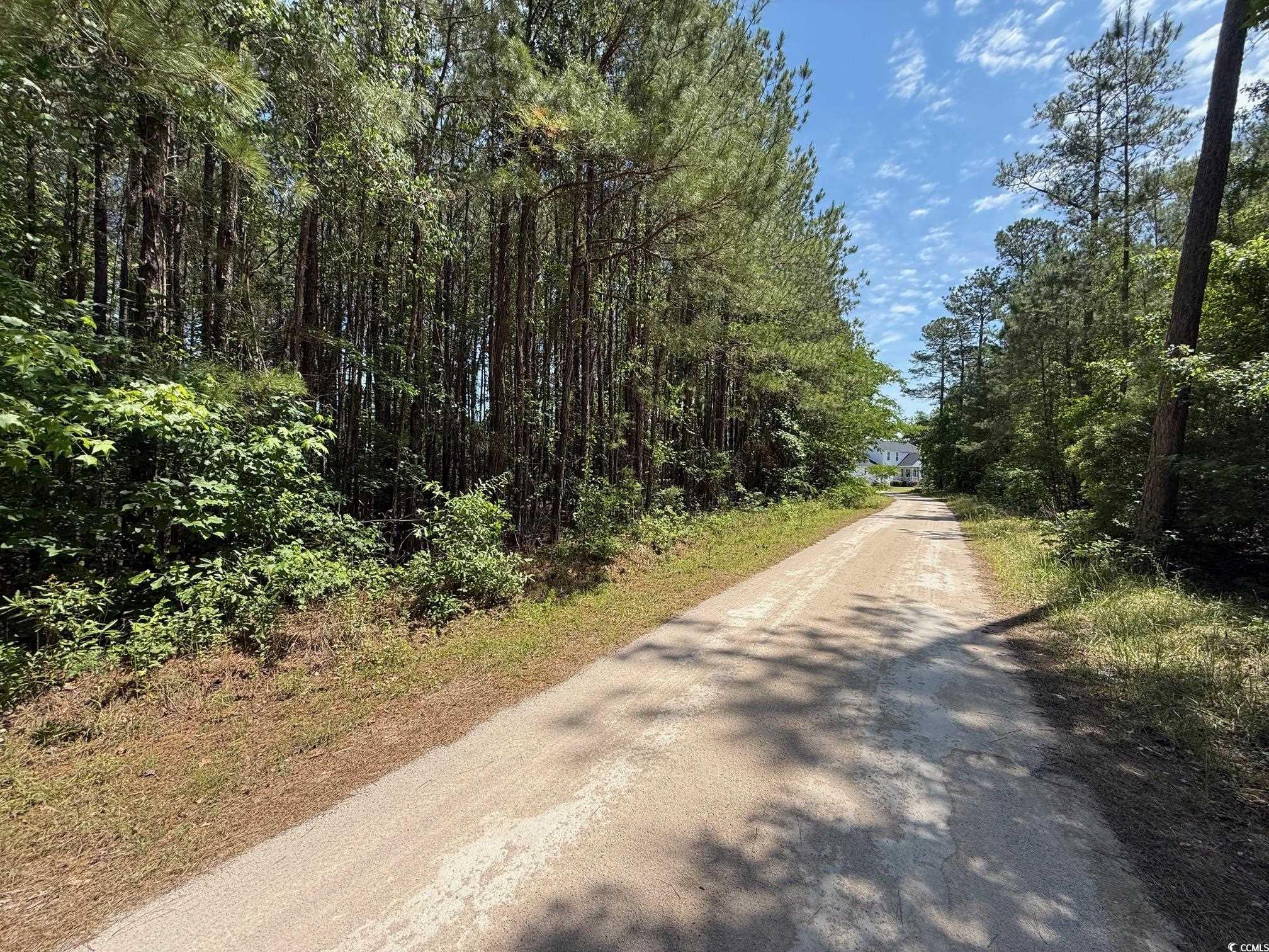 TBD J Floyd Ln, Aynor, South Carolina image 3