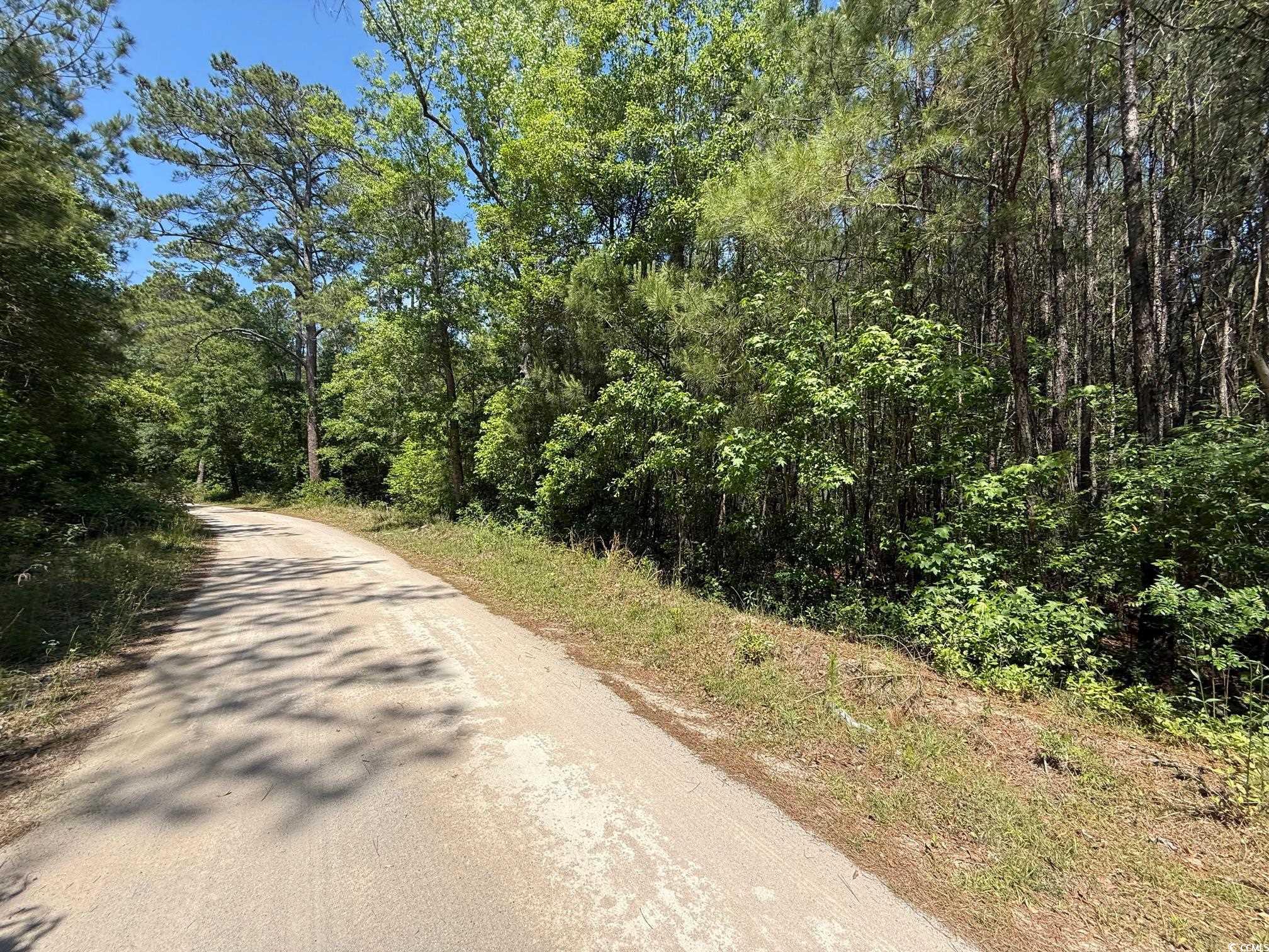TBD J Floyd Ln, Aynor, South Carolina image 4