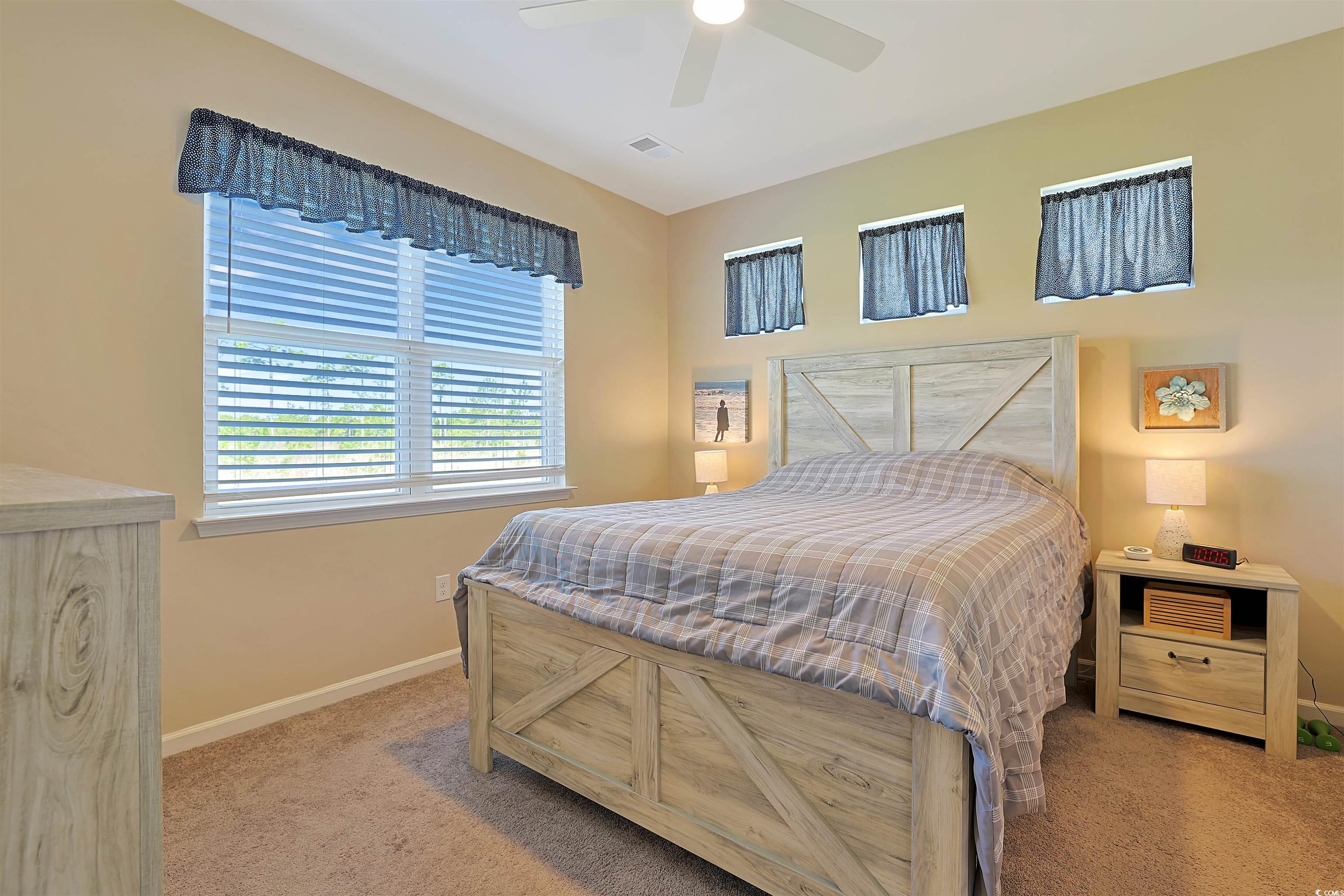 3766 Bells Lake Circle #3766, Longs, South Carolina image 10
