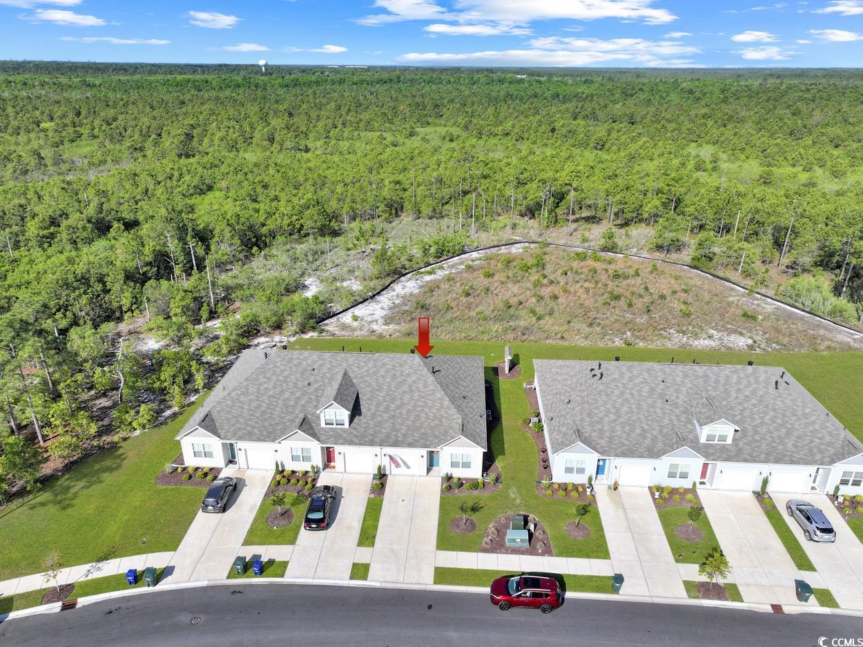 3766 Bells Lake Circle #3766, Longs, South Carolina image 24