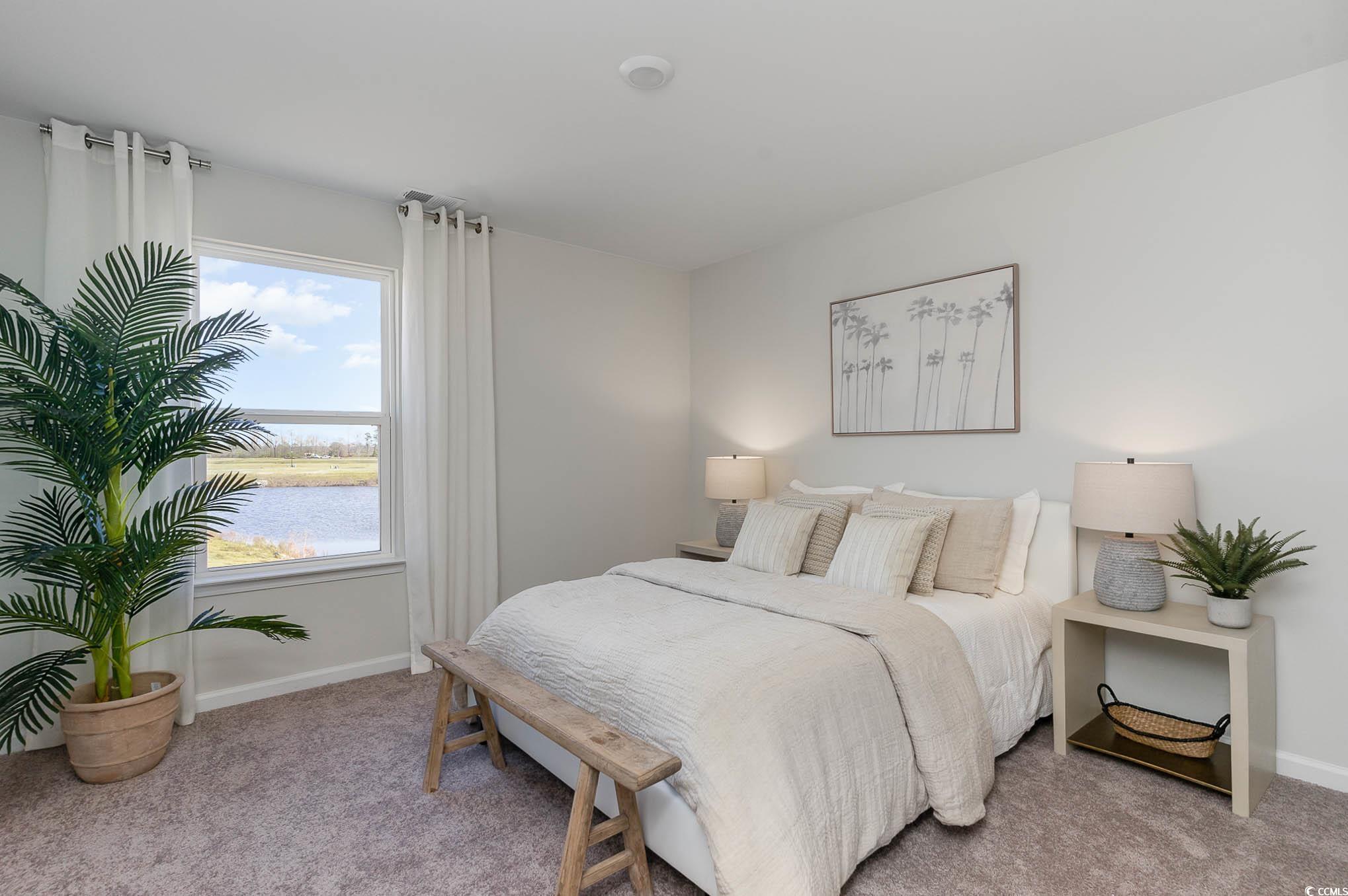 858 Farmers Passage Loop, Loris, South Carolina image 19