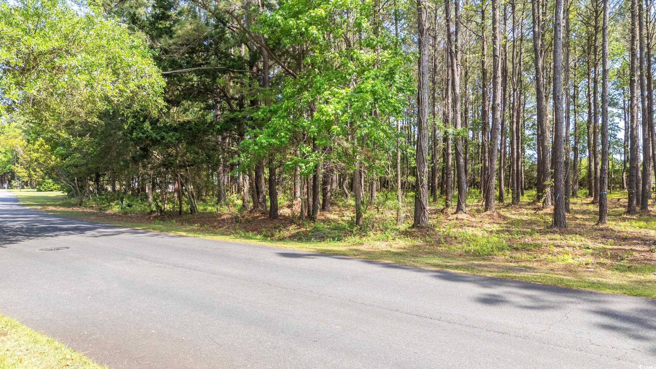 8 Collins Meadow Dr. Georgetown, SC 29440