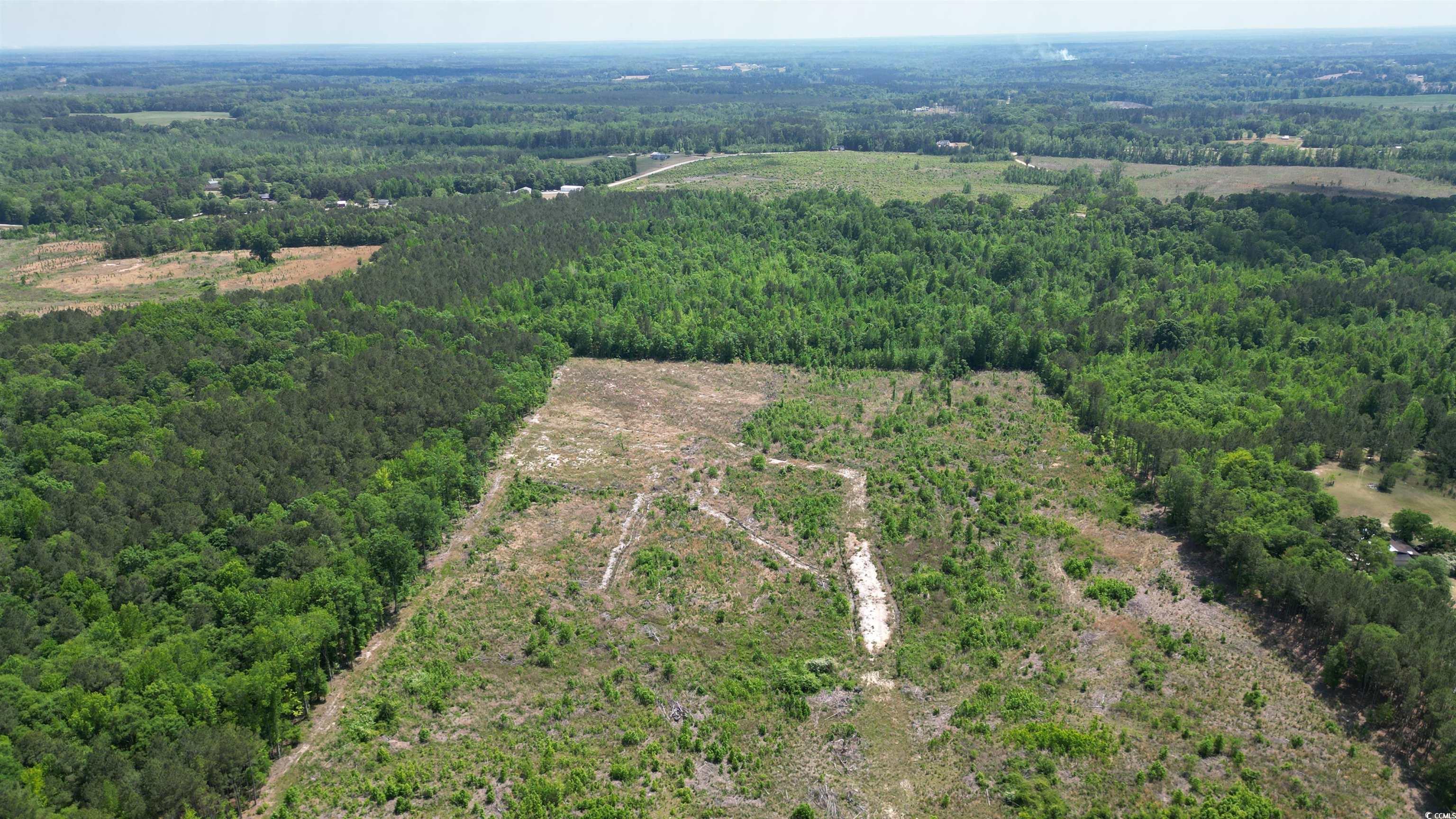 TBD Bully Rd., Chesterfield, South Carolina image 10