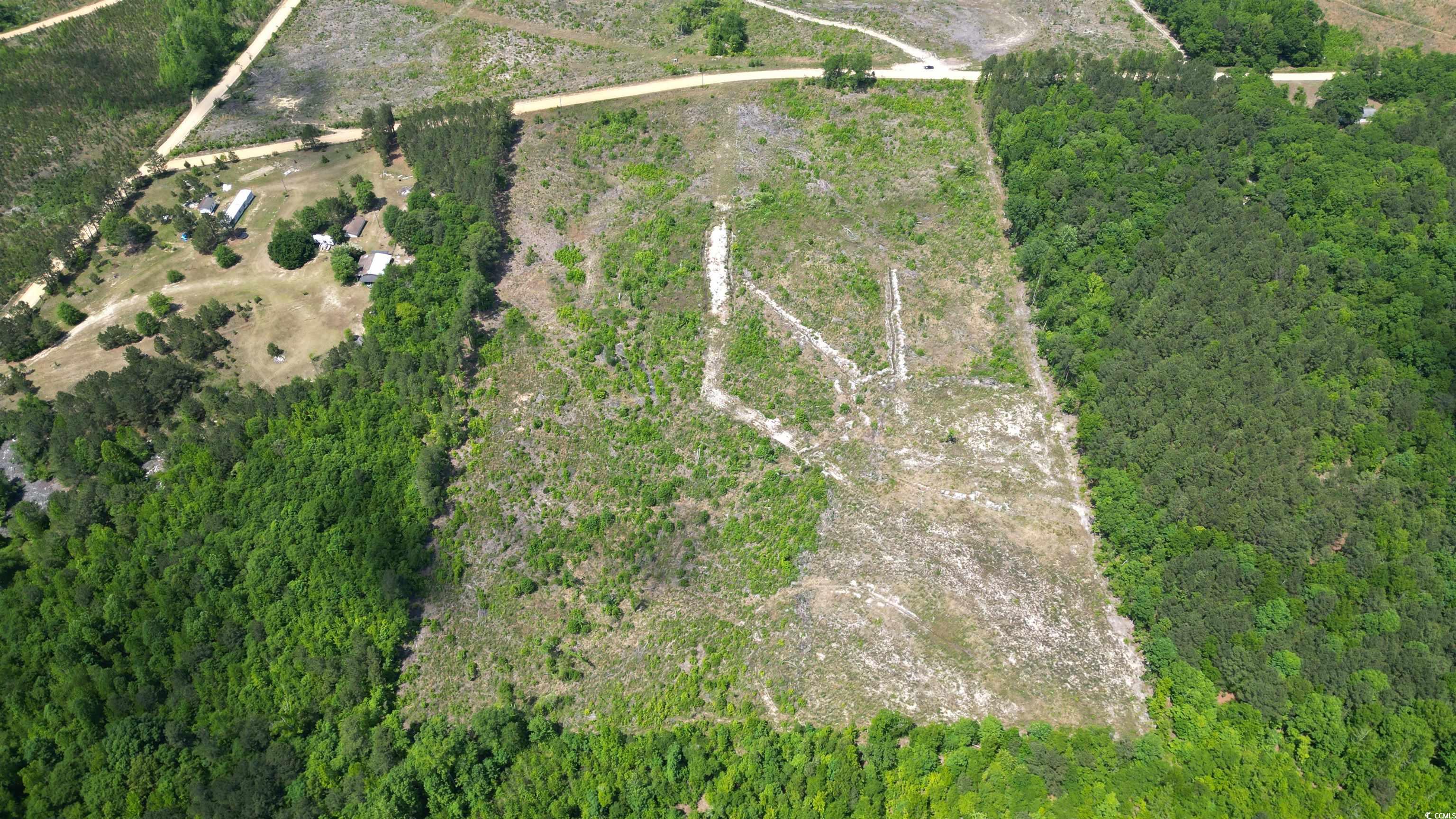TBD Bully Rd., Chesterfield, South Carolina image 3