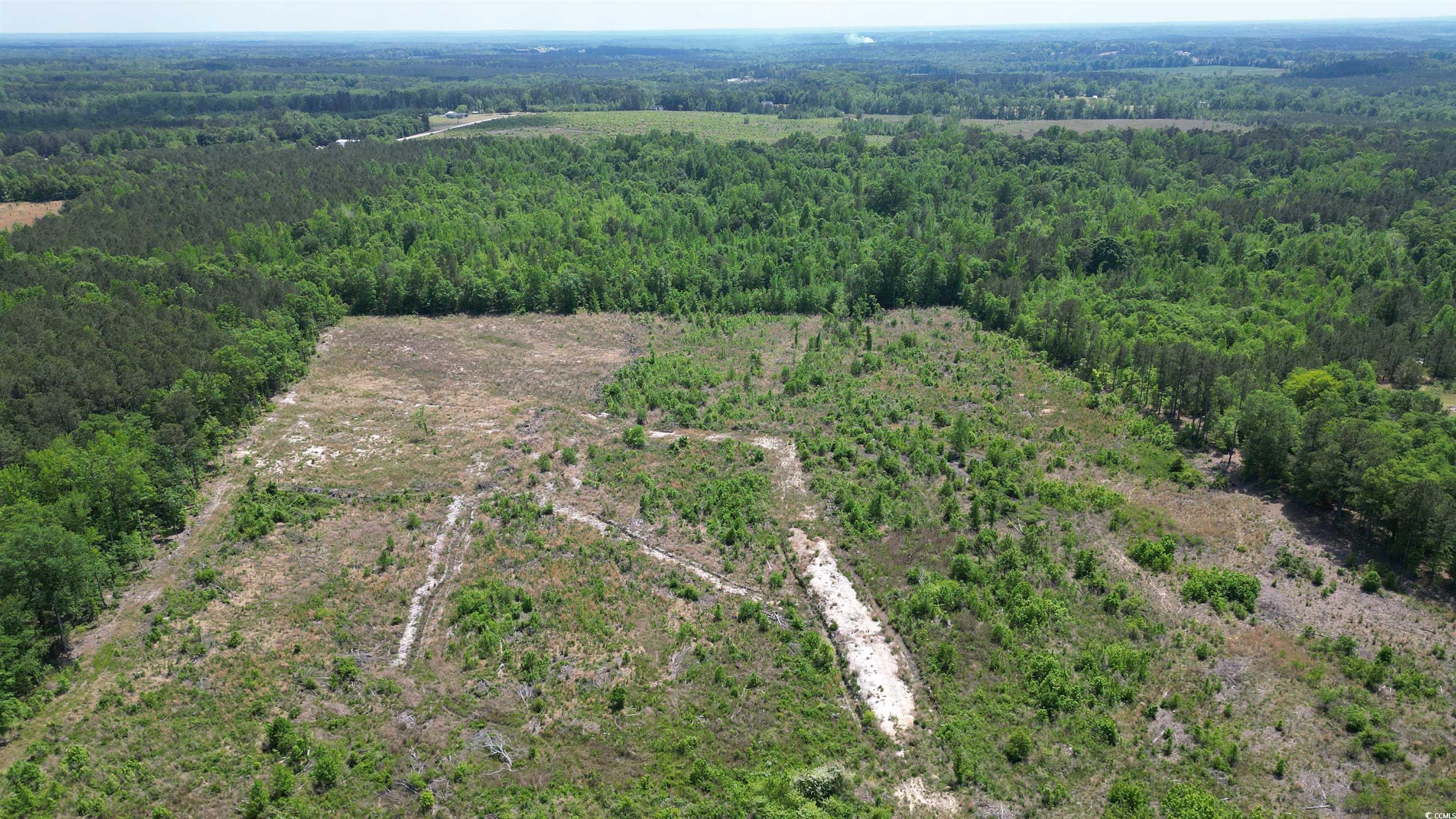 TBD Bully Rd., Chesterfield, South Carolina image 8