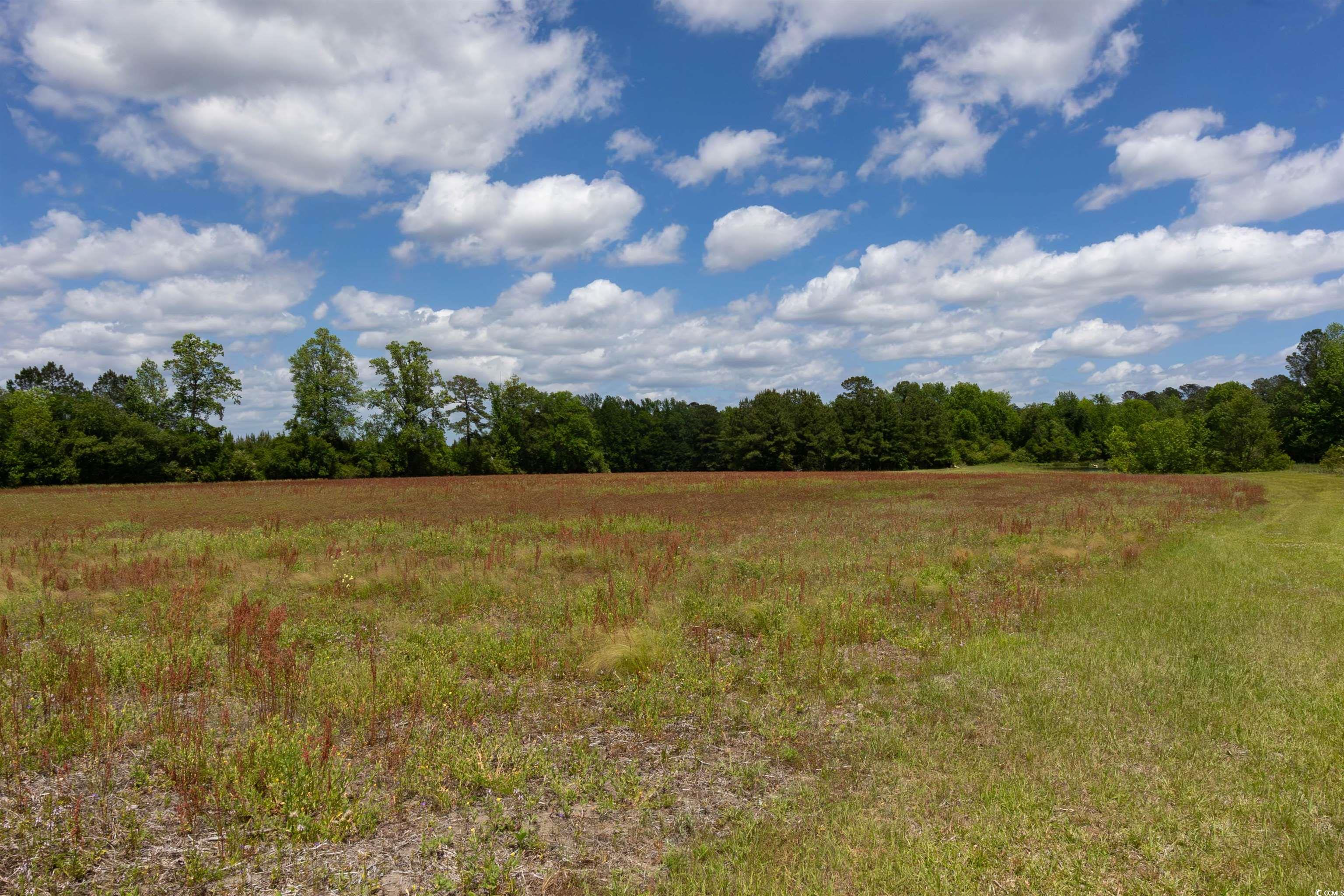 Tract 2 A Grandpa Ln., Loris, South Carolina image 2