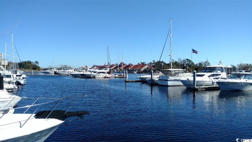 432 Falling Leaf Loop, Myrtle Beach, South Carolina image 16