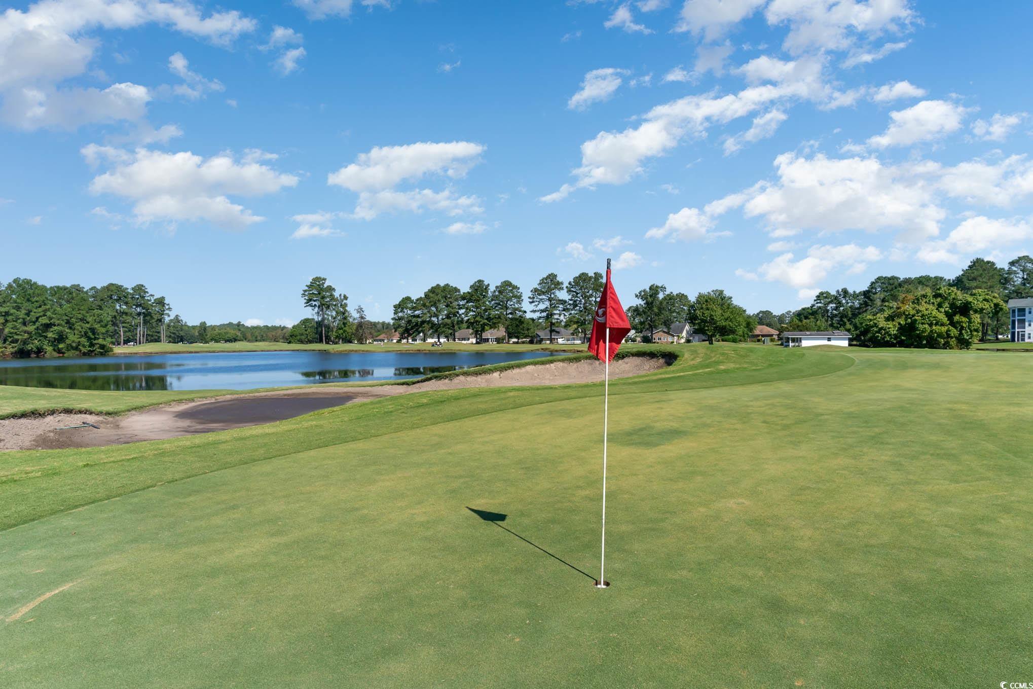 665 Tupelo Ln. #17-F, Longs, South Carolina image 36