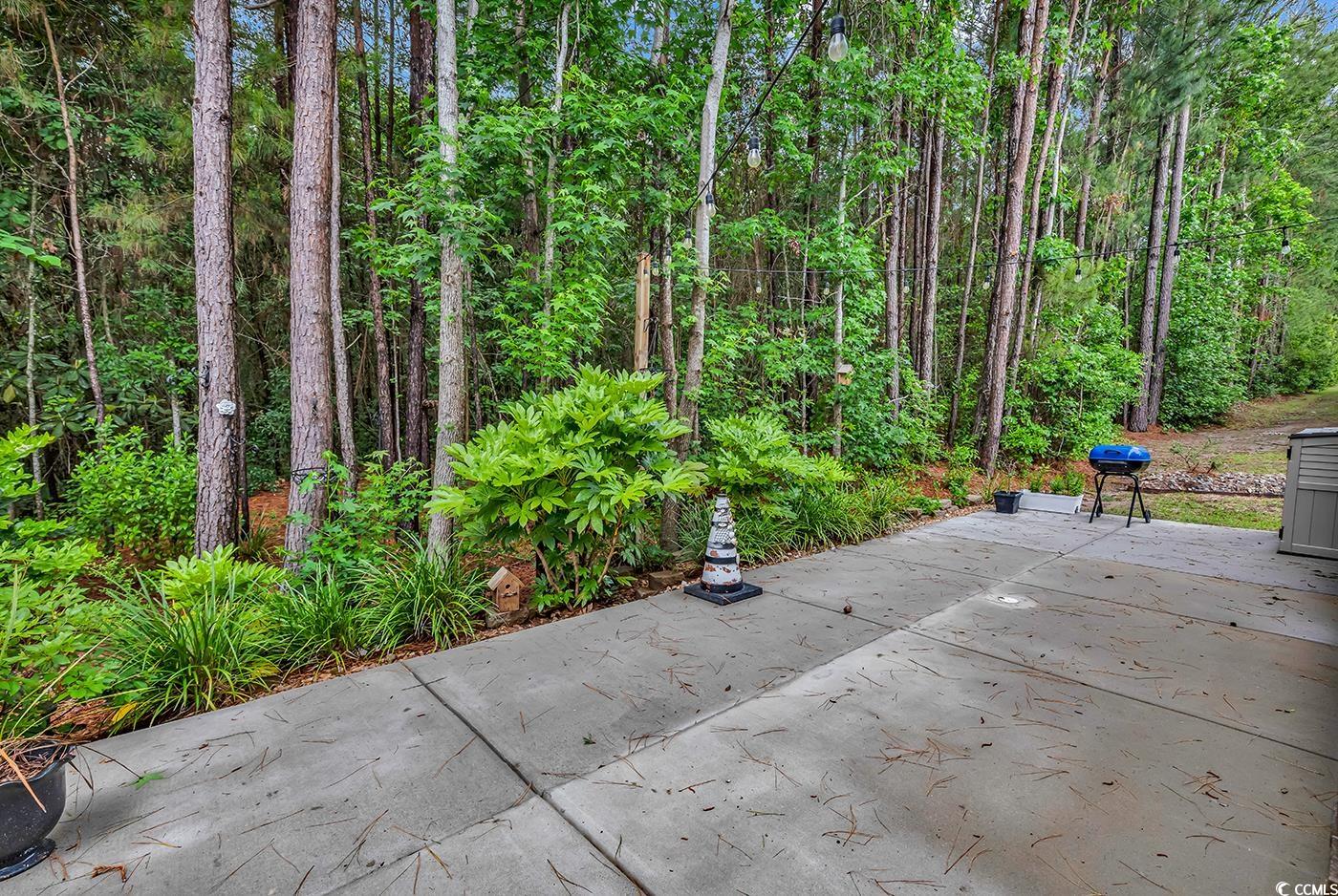 4341 Grande Harbour Blvd., Little River, South Carolina image 22