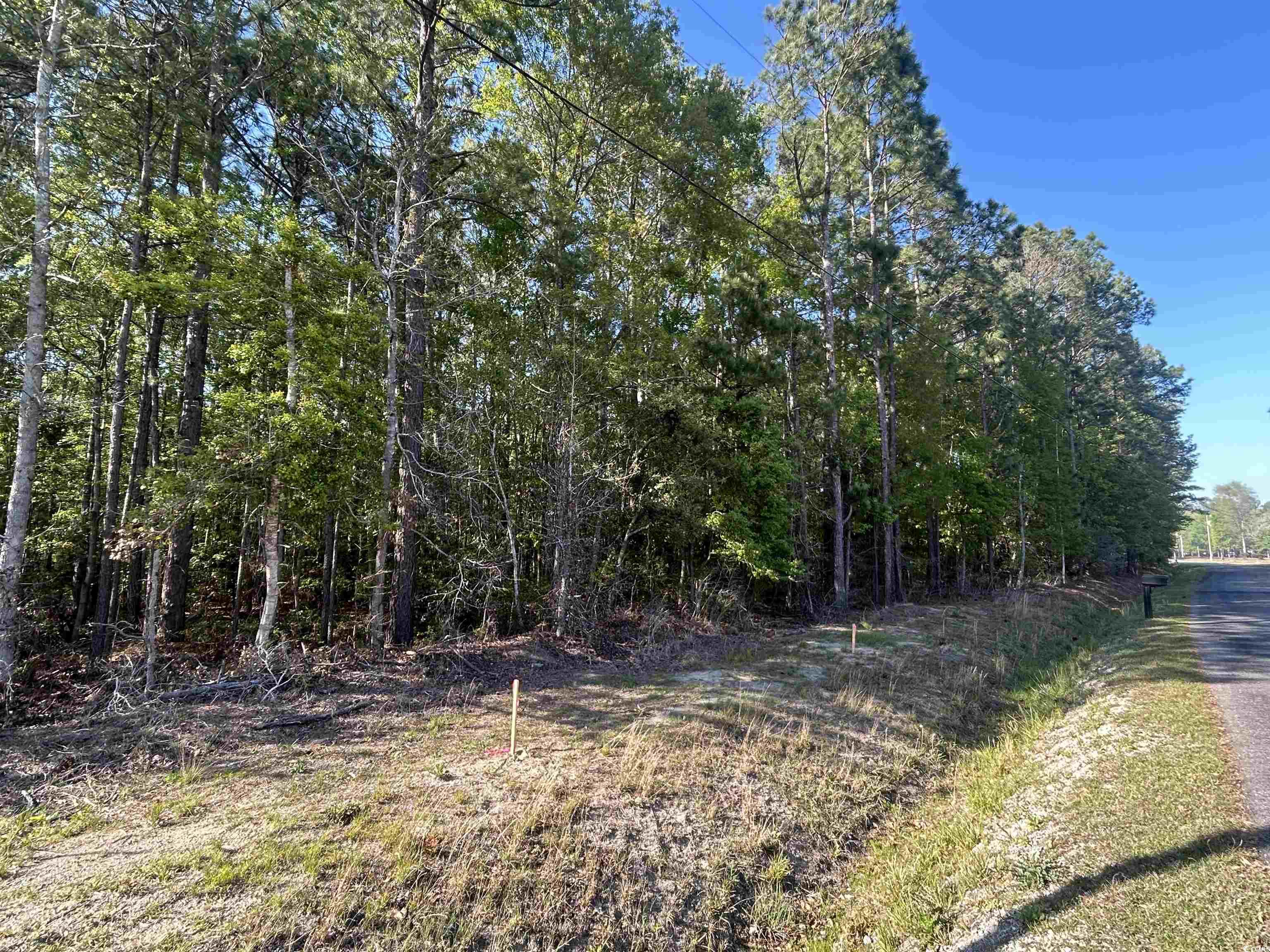 TBD Buck Dr. Georgetown, SC 29440