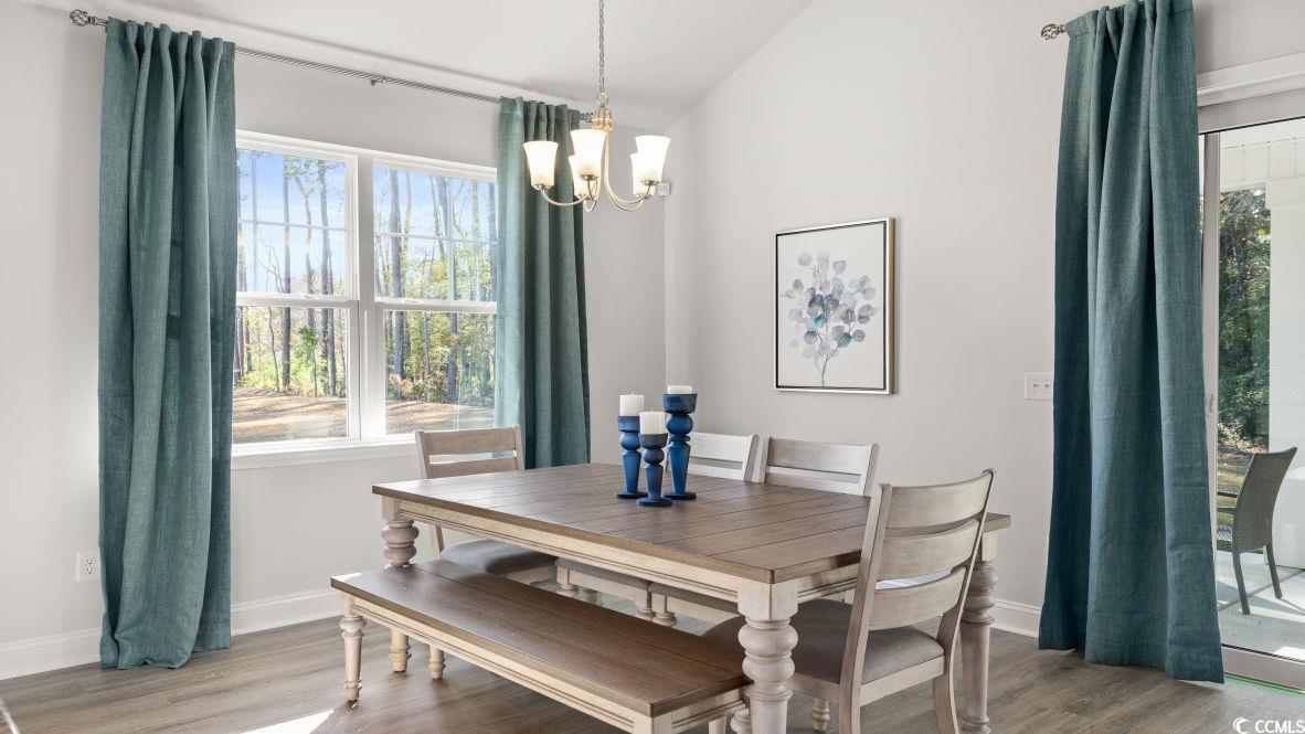 325 Wingspan Ct., Myrtle Beach, South Carolina image 10